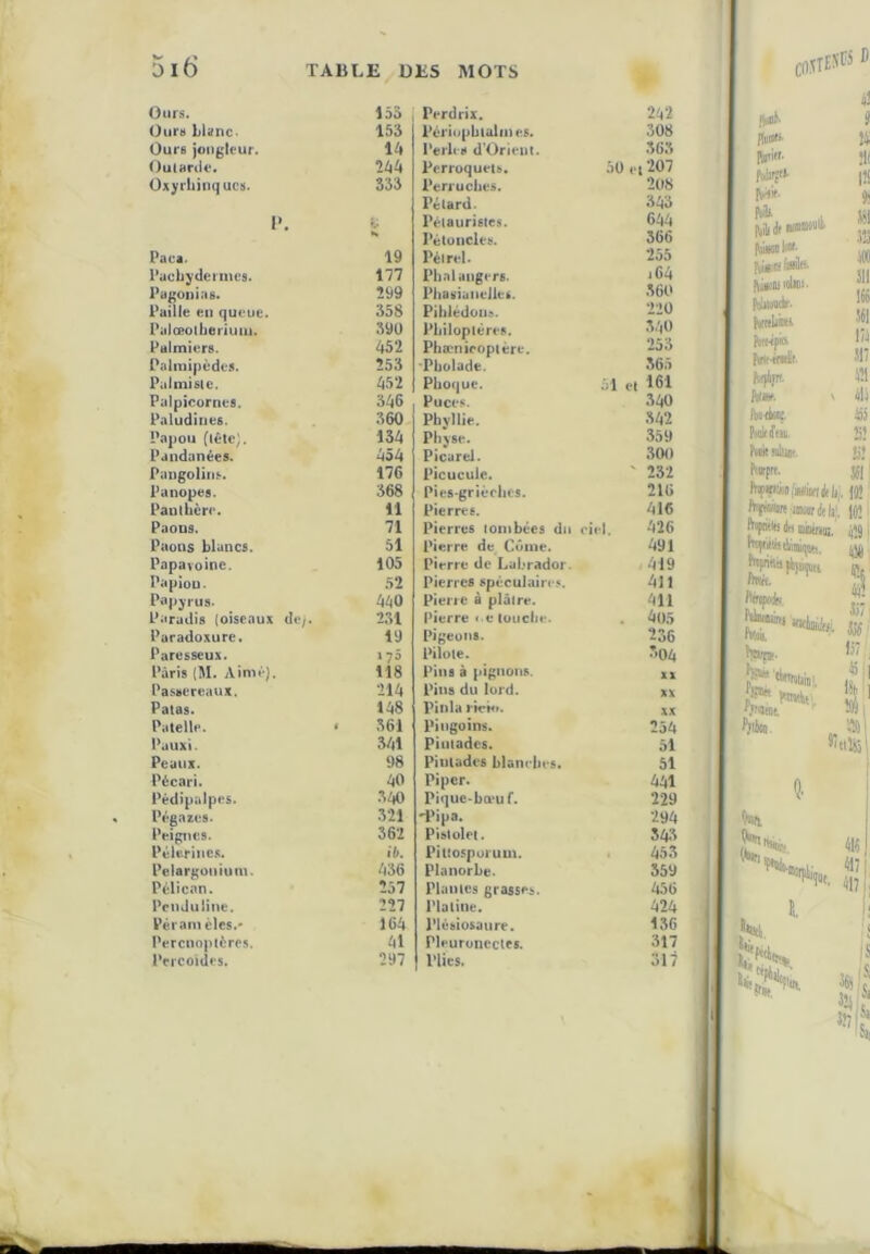 Ours. Ours Liunc- Ours jongk'ur. OutHrde. Oxyrhinquc». Puca. Puobydennes. Pugonias. Paille en queue. Palœollieriuui. Palmier». Palmipèdes. Palinislc. Palpicornes. Paludiiies. Papou (lêle,. Pandanées. Pangolins. Punopes. Panlhcre. Paous. Paons blancs. Papavoine. Papiou. Papjrua. Paradis (oiseaux de/. Puradoxure. Paresseux. Paris {M. Aimé). Passereaux. Patas. Patelle. Pauxi. Peaux. Pécari. Pédipalpes. Pégazes. Peignes. Pèlerines. Peiargonium. Pélican. Ppnduiine. Péramèles.' Percnoptères. PcrCûides, 16S Perdrix. 292 153 Périopblalines. 308 Ih Perb ï» d'Orieni. 363 M Perroquet», 50 l't 207 333 Perrucbes. 208 Pétard. 393 i. Pélauristes. 699 K Pèluncles. 366 19 Pélrel. 255 177 Pbaiangers. i69 Î99 PJiaviaiieiles. 360 358 Piblédoua. 220 390 Pbiloplères. 390 952 Phænieopière. 253 Î53 ■Pboladt. 565 952 Phoque. 51 et 161 396 Puces. 390 360- Pbyllie. 392 139 Pbyse. 359 959 Picurel. 300 176 Picuculc. ' 232 368 pies-grièches. 216 11 Pierres. 916 71 Pierres tombées du ciel. 926 51 pierre de Cûiue. 991 105 pierre de Labrador. 919 52 pierres spéculaires. 911 990 Pierre à plâtre. 911 231 Pierre * e touche. . 905 19 pigeons. 236 17Ô Pilote. 309 118 Pins à pignons. Xi 219 Pins du lord. XX 198 Piiila riri*». XX 361 Pingoins. 259 391 Piuiadcs. 51 98 Pintades blam bes. 51 90 Piper. 991 390 Pique-btt’uf. 229 321 ^ipa. 299 362 Pistolet. 39:1 ib. Pittosporum. 953 936 Planorbe. 559 257 Plantes grasse». 956 227 Platine. 929 169 Plésiosaure. 136 91 rieuronecies. 317 297 Plies. 317 (!«»<•■ Hiiiir. Pi/)'». Pli hijitmk. hralimi Mp» hipim. ht. Iknkiç. Mlm. hèxW h»prt. <! S M îlf |!S » ra w 311 136 \ii 31) Ml 313 Ü5 ’j! M! 331' jjî lOÎ ft<p«i(j dn Binnu;, ÿj, Vf»’ I<m4i. Wml lé Sir ® 157 , ISh I % H (ton (ton 313 Il ; J*». N.