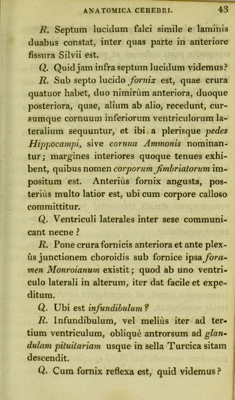 R. Septum lucidum falci simile e laminis duabus constat, inter quas parte in anteriore fissura Silvii est. Q. Quid jam infra septum lucidum videmus? R. Sub septo lucido fornix est, quae crura quatuor habet, duo nimirum anteriora, duoque posteriora, quae, alium ab alio, recedunt, cur- sumque cornuum inferiorum ventriculorum la- teralium sequuntur, et ibi a plerisque pedes Hippocampi, sive cornua Ammonis nominan- tur; margines interiores quoque tenues exhi- bent, quibus nomen corporum fimbriatorum im- positum est. Anterius fornix angusta, pos- terius multo latior est, ubi cum corpore calloso committitur. Q. Ventriculi laterales inter sese communi- cant necne ? E. Pone crura fornicis anteriora et ante plex- us junctionem choroidis sub fornice ipsa fora- men Monroianum existit; quod ab uno ventri- culo laterali in alterum, iter dat facile et expe- ditum. Q. Ubi est infundibulum ? R. Infundibulum, vel melius iter ad ter- tium ventriculum, oblique antrorsum ad glan- dulam pituitariam usque in sella Turcica sitam descendit. Q. Cum fornix reflexa est, quid videmus ?