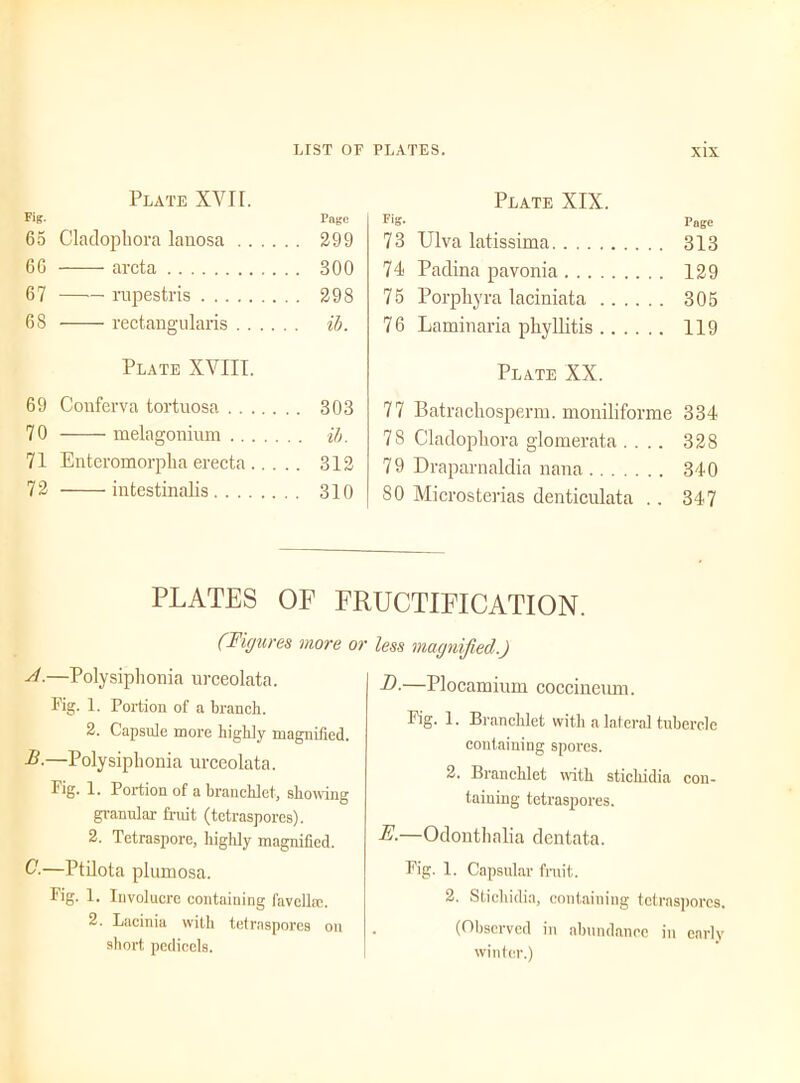 Plate XVIL Fig. Page 65 Cladopliora lanosa 299 60 arcta 300 67 rupestris 298 68 rectangularis ib. Plate XVIII. 69 Conferva tortuosa 303 70 melagoninm ib. 71 Enteromorpha erecta 312 72 intestinalis 310 Plate XIX. FiS- Page 73 Ulva latissima 313 74 Padina pavonia 129 75 Porphyra laciniata 305 76 Laminaria phyllitis 119 Plate XX. 77 Batrachosperm. moniliforme 334 78 Cladopliora glomerata .... 328 79 Draparnaldia nana 340 80 Microsterias denticulata . . 347 PLATES OP FRUCTIFICATION (Figures more or si.—Polysiphonia urceolata. Fig. 1. Portion of a branch. 2. Capsule more highly magnified. -#•—Polysiphonia urceolata. Fig. 1. Portion of a branchlet, showing granular fruit (tetraspores). 2. Tetrasporc, higlily magnified. C.—Ptilota plumosa. Fig. 1. Involucre containing favclhe. 2. Lacinia with tetraspores on short pedicels. less magnified.) —Plocamium coccineum. Fig. 1. Branchlet with a lateral tubercle containing spores. 2. Branchlet with sticliidia con- taining tetraspores. E-—Odonthalia dentata. Fig. 1. Capsular fruit. 2. Sticliidia, containing tetraspores. . (Observed in abundance in early winter.)