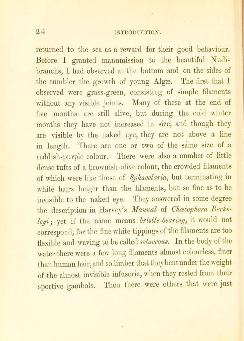 returned to the sea as a reward for their good behaviour. Before I granted manumission to the beautiful Nudi- branchs, I had observed at the bottom and on the sides of the tumbler the growth of young Algae. The first that I observed were grass-green, consisting of simple filaments without any visible joints. Many of these at the end of five months are still alive, but during the cold winter months they have not increased in size, and though they are visible by the naked eye, they are not above a line in length. There are one or two of the same size of a reddish-purple colour. There were also a number of little dense tufts of a brownish-olive colour, the crowded filaments of which were like those of Sphacelaria, but terminating in white hairs longer than the filaments, but so fine as to be invisible to the naked eye. They answered in some degree the description in Harvey’s Manual of Cliatophora Berke- leyi\ yet if the name means bristle-bearing, it would not correspond, for the fine white tippings of the filaments are too flexible and waving to be called setaceous. In the body of the water there were a few long filaments almost colourless, finer than human hair, and so limber that they bent under the weight of the almost invisible infusoria, when they rested from their sportive gambols. Then there were others that were just