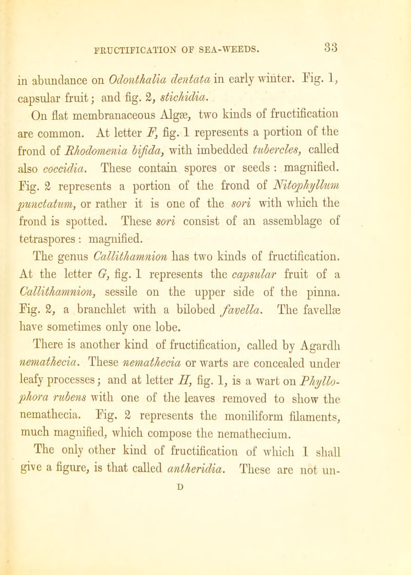 in abundance on Odonthalia dentata in early winter. Fig. 1, capsular fruit; and fig. 2, stichidia. On flat membranaceous Algae, two kinds of fructification are common. At letter F, fig. 1 represents a portion of the frond of Rhodomenia bifida, with imbedded tubercles, called also coccidia. These contain spores or seeds : magnified. Fig. 2 represents a portion of the frond of Nitophjlhm punctatum, or rather it is one of the sori with which the frond is spotted. These sori consist of an assemblage of tetraspores: magnified. The genus Callithamnion has two kinds of fructification. At the letter G, fig. 1 represents the capsular fruit of a Callithamnion, sessile on the upper side of the pinna. Fig. 2, a branchlet with a bilobed favella. The favclke have sometimes only one lobe. There is another kind of fructification, called by Agardh nemathecia. These nemathecia or warts are concealed under leafy processes; and at letter H, fig. 1, is a wart on Phyllo- phora rubens with one of the leaves removed to show the nemathecia. Fig. 2 represents the moniliform filaments, much magnified, which compose the nemathecium. The only other kind of fructification of which I shall give a figure, is that called antheridia. These are not un- D