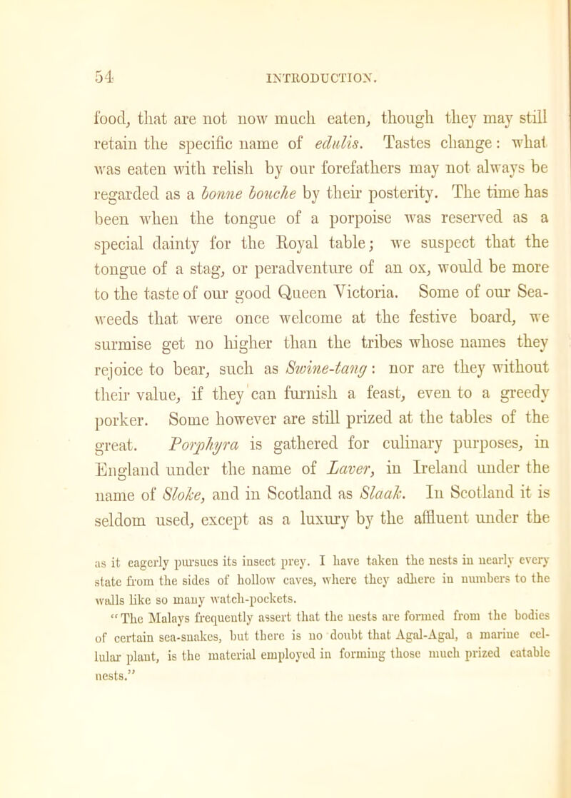 food, that are not now much eaten, though they may still retain the specific name of edulis. Tastes change: whal was eaten with relish by our forefathers may not always be regarded as a bonne louche by their posterity. The time has been when the tongue of a porpoise was reserved as a special dainty for the Eoyal table; we suspect that the tongue of a stag, or peraclventure of an ox, would be more to the taste of our good Queen Victoria. Some of our Sea- weeds that Avere once Avelcome at the festive board, we surmise get no higher than the tribes Avhose names they rejoice to bear, such as Swine-tang: nor are they without their value, if they can furnish a feast, even to a greedy porker. Some however are still prized at the tables of the great. Porphyra is gathered for culinary purposes, in England under the name of Laver, in E-eland under the name of Sloke, and in Scotland as SlaaJc. In Scotland it is seldom used, except as a luxury by the affluent under the as it eagerly pursues its insect prey. I liave taken the nests in nearly every state from the sides of hollow caves, where they adhere in numbers to the walls like so many watch-pockets. “ The Malays frequently assert that the nests are formed from the bodies of certain sea-snakes, but there is no doubt that Agal-Agal, a marine cel- lular plant, is the material employed in forming those much prized eatable nests.”
