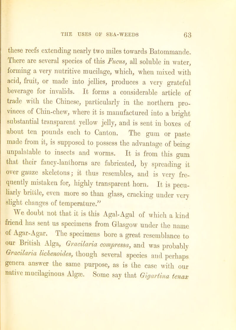 these reefs extending nearly two miles towards Batommande. There are several species of this Fucus, all soluble in water, forming a very nutritive mucilage, which, when mixed with acid, fruit, or made into jellies, produces a very grateful beverage for invalids. It forms a considerable article of trade with the Chinese, particularly in the northern pro- vinces of Chin-chew, where it is manufactured into a bright substantial transparent yellow jelly, and is sent in boxes of about ten pounds each to Canton. The gum or paste made from it, is supposed to possess the advantage of being unpalatable to insects and worms. It is from this gum that their fancy-lanthorns are fabricated, by spreading it over gauze skeletons; it thus resembles, and is very fre- quently mistaken for, highly transparent horn. It is pecu- liarly brittle, even more so than glass, cracking under very slight changes of temperature.” e doubt not that it is this Agal-Agal of which a kind • friend has sent us specimens from Glasgow under the name of Agar-Agar. The specimens bore a great resemblance to our British Alga, Gracilaria compressa, and was probably Gracilaria lichenoides, though several species and perhaps genera answer the same purpose, as is the case mill our native mucilaginous Algse. Some say that Gigartina tenax