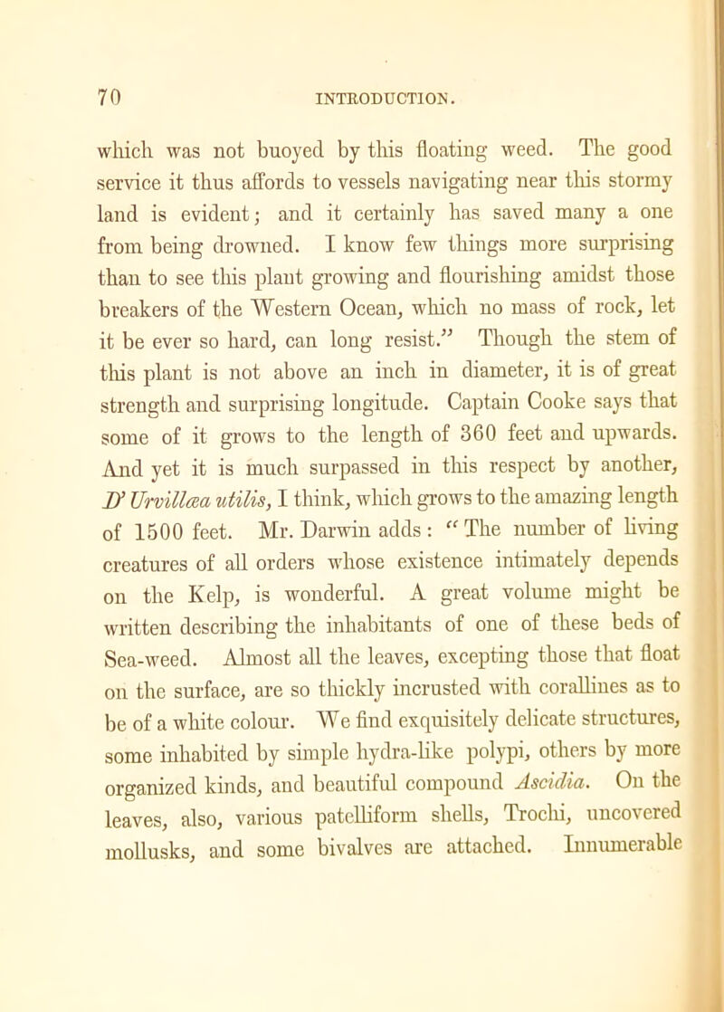 which was not buoyed by this floating weed. The good service it thus affords to vessels navigating near this stormy land is evident; and it certainly has saved many a one from being drowned. I know few things more surprising than to see this plant growing and flourishing amidst those breakers of the Western Ocean, which no mass of rock, let it be ever so hard, can long resist.” Though the stem of this plant is not above an inch in diameter, it is of great strength and surprising longitude. Captain Cooke says that some of it grows to the length of 360 feet and upwards. And yet it is much surpassed in this respect by another, If Urvillcea utilis, I think, which grows to the amazing length of 1500 feet. Mr. Darwin adds : “ The number of living creatures of all orders whose existence intimately depends on the Kelp, is wonderful. A great volume might be written describing the inhabitants of one of these beds of Sea-weed. Almost all the leaves, excepting those that float on the surface, are so thickly incrusted with corallines as to be of a white colour. We find exquisitely delicate structures, some inhabited by simple hydra-like polypi, others by more organized kinds, and beautiful compound Asciclia. On the leaves, also, various patelliform shells, Troclii, uncovered mollusks, and some bivalves are attached. Innumerable