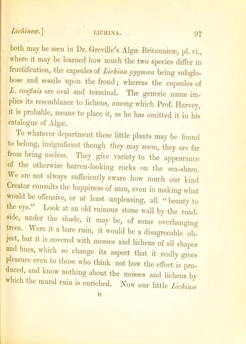 Lickinece.'] both may be seen in Dr. Gtreville's Algae Britannic®, pi. vi., where it may be learned how much the two species differ in fructification, the capsules of lichina pygmcna being subglo- bose and sessile upon the frond; whereas the capsules of L. confinis are oval and terminal. The generic name im- plies its resemblance to lichens, among which Prof. Harvey, it is probable, means to place it, as he has omitted it in his catalogue of Algae. To whatever department these little plants may be found to belong, insignificant though they may seem, they are far from being useless. They give variety to the appearance of the otherwise barren-looking rocks on the sea-shore. We are not always sufficiently aware how much our kind Creator consults the happiness of man, even in making what would be offensive, or at least unpleasing, all -beauty to the eye.” Look at an old ruinous stone wall by the road- side, under the shade, it may be, of some overhanging trees. Were it a bare ruin, it would be a disagreeable ob- ject, but it is covered with mosses and lichens of all shapes and hues, which so change its aspect that it really gives pleasure even to those who think not how the effect is pro- duced, and know nothing about the mosses and lichens by which the mural ruin is enriched. Now our little Lichina H