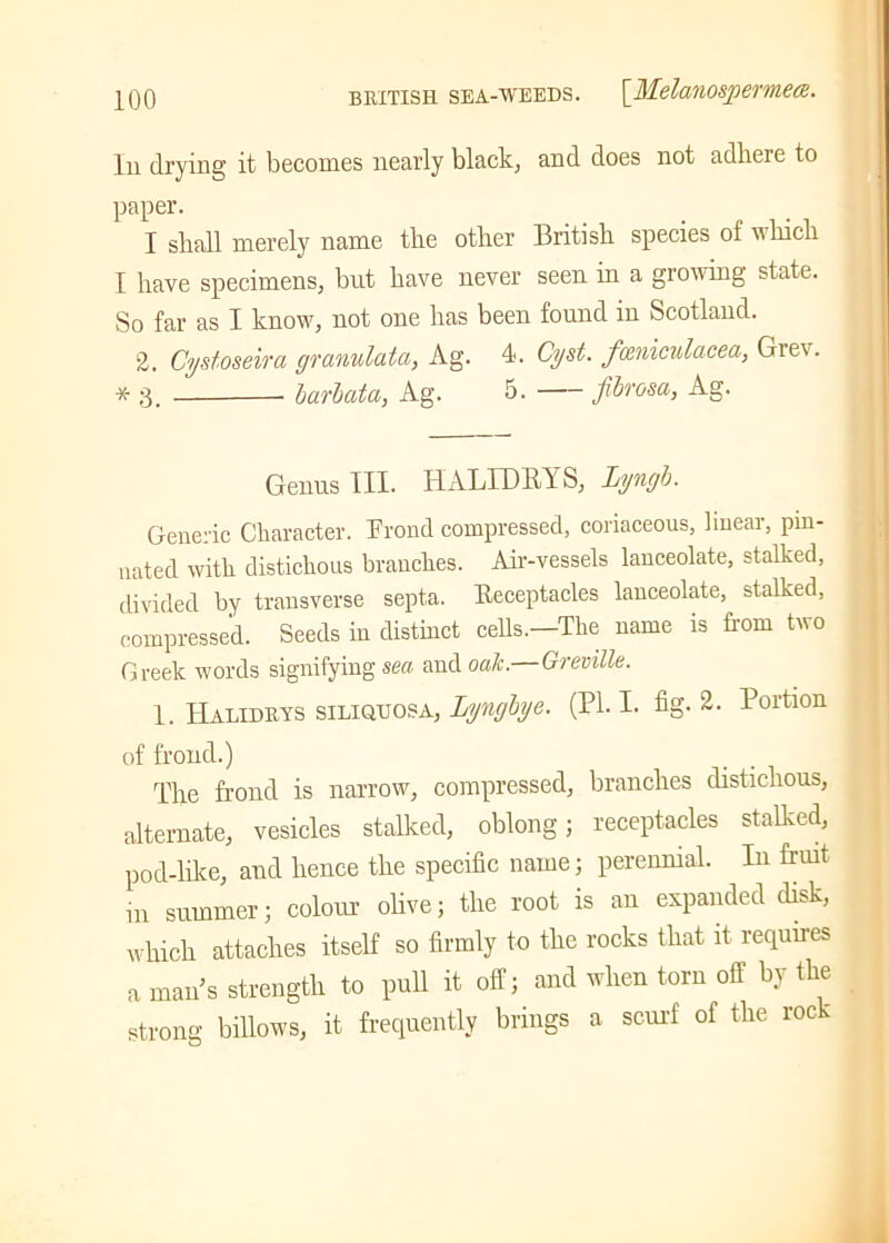 Id drying it becomes nearly black, and does not adhere to paper. I shall merely name the other British species ol which I have specimens, but have never seen in a growing state. So far as I know, not one has been found in Scotland. 2. Cystoseira granulata, Ag. 4. Cyst, fceniculacea, Giev. * 3. barbata, Ag. 5. fibrosa, Ag. Genus III. HALID BAS, Lyngb. Generic Character. Frond compressed, coriaceous, linear, pin- nated with distichous branches. Air-vessels lanceolate, stalked, divided by transverse septa. Receptacles lanceolate, stalked, compressed. Seeds in distinct cells.—The name is from two Greek words signifying sea and oak.—Greville. 1. Halidrys siliqttosa, Lyngbye. (PI. I. fig. 2. Portion of frond.) The frond is narrow, compressed, branches distichous, alternate, vesicles stalked, oblong; receptacles stalked, pod-like, and hence the specific name; perennial. In fruit in summer; colour olive; the root is an expanded disk, which attaches itself so firmly to the rocks that it requues a maids strength to pull it off; and when torn off by the strong billows, it frequently brings a scurf of the rock