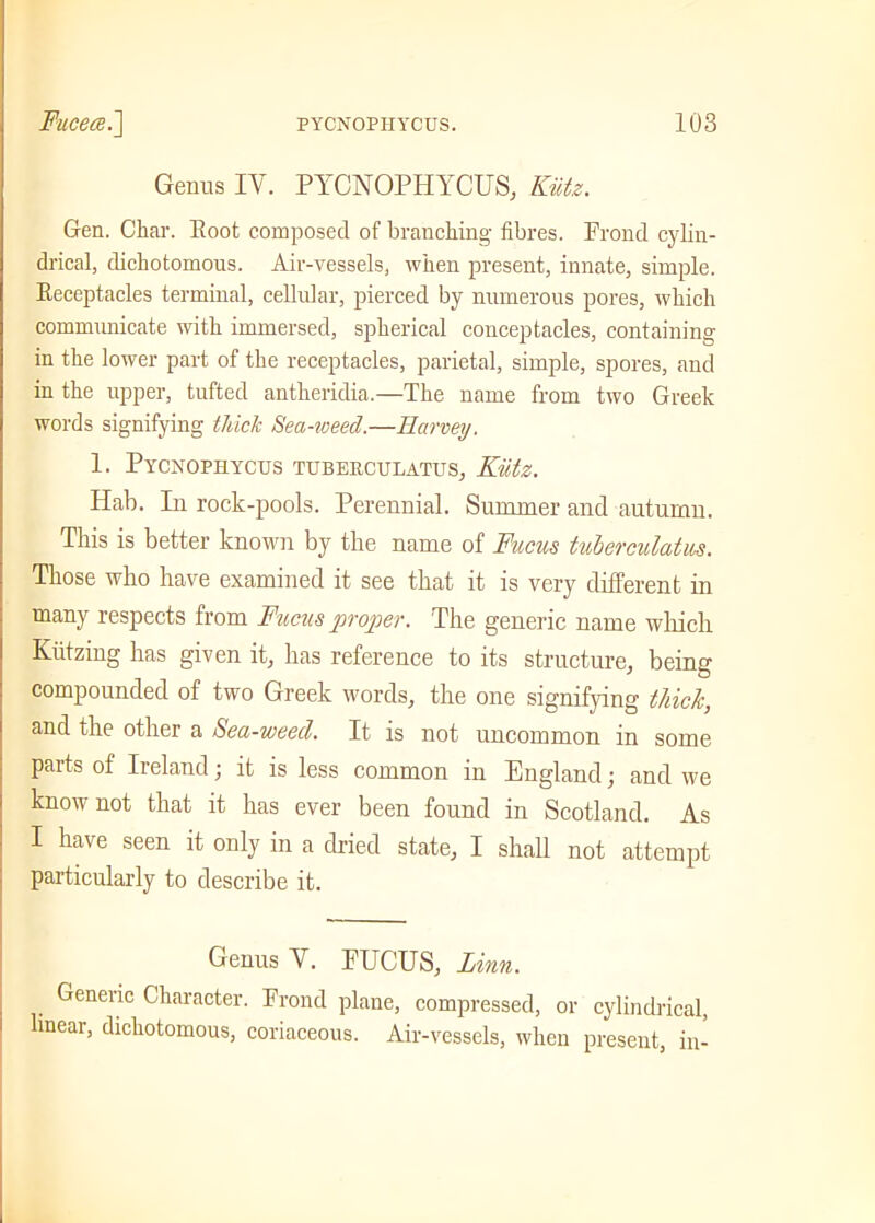 Genus IV. PYCNOPIIYCUS, Kiitz. Gen. Char. Boot composed of branching fibres. Frond cylin- drical, dichotomous. Air-vessels, when present, innate, simple. Beceptacles terminal, cellular, pierced by numerous pores, which communicate with immersed, spherical conceptacles, containing in the lower part of the receptacles, parietal, simple, spores, and in the upper, tufted antheridia.—The name from two Greek words signifying thick Sea-weed.—Harvey. 1. Pycnophycus tubf.rculatus, Kiitz. Hab. In rock-pools. Perennial. Summer and autumn. This is better known by the name of Fucus tuberculatus. Those who have examined it see that it is very different in many respects from Fucus proper. The generic name which Kiitzing has given it, has reference to its structure, being compounded of two Greek words, the one signifying thick, and the other a Sea-weed. It is not uncommon in some parts of Ireland; it is less common in England; and we know not that it has ever been found in Scotland. As I have seen it only in a dried state, I shall not attempt particularly to describe it. Genus V. FUCUS, Linn. Generic Character. Frond plane, compressed, or cylindrical, linear, dichotomous, coriaceous. Air-vessels, when present, in-