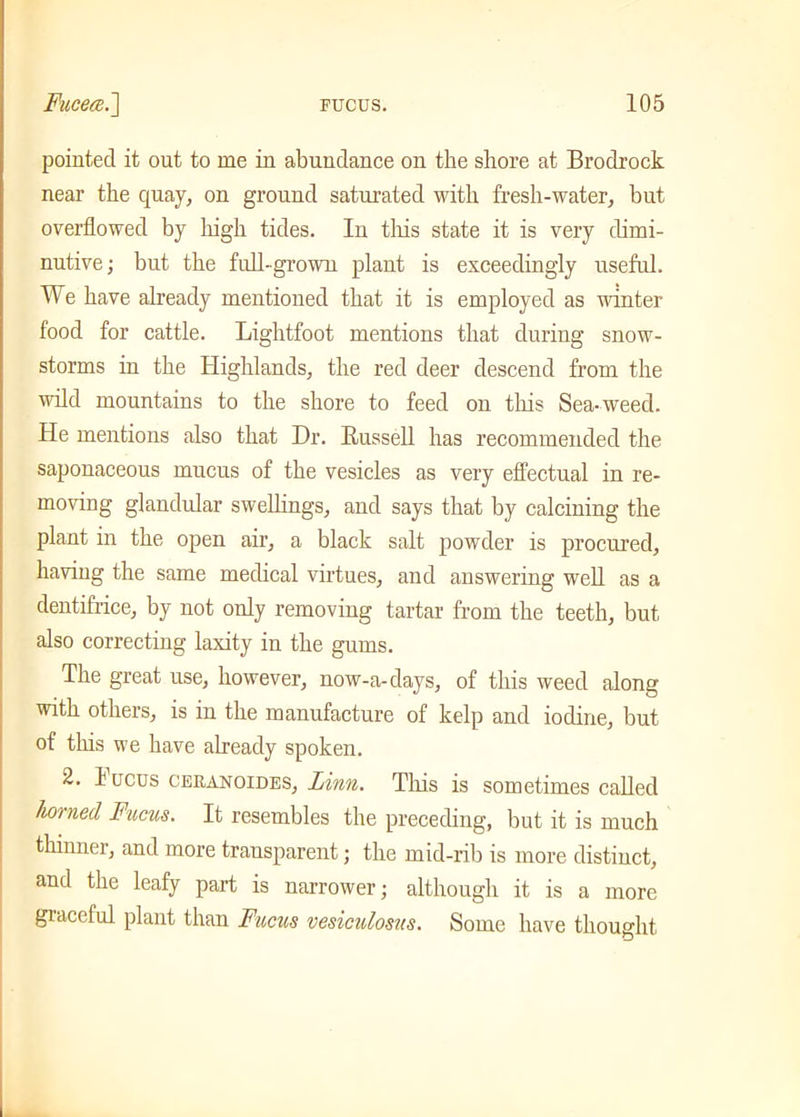pointed it out to me in abundance on the shore at Brodrock near the quay, on ground saturated with fresh-water, but overflowed by high tides. In this state it is very dimi- nutive ; but the full-grown plant is exceedingly useful. We have already mentioned that it is employed as winter food for cattle. Lightfoot mentions that during snow- storms in the Highlands, the red deer descend from the wild mountains to the shore to feed on this Sea-weed. He mentions also that Dr. Bussell has recommended the saponaceous mucus of the vesicles as very effectual in re- moving glandular swellings, and says that by calcining the plant in the open air, a black salt powder is procured, having the same medical virtues, and answering well as a dentifrice, by not only removing tartar from the teeth, but also correcting laxity in the gums. The great use, however, now-a-days, of this weed along with others, is in the manufacture of kelp and iodine, but of this we have already spoken. 2. 1 ucus ceranoides, Linn. This is sometimes called horned Fucus. It resembles the preceding, but it is much thinner, and more transparent; the mid-rib is more distinct, and the leafy part is narrower; although it is a more graceful plant than Fucus vesiculosus. Some have thought