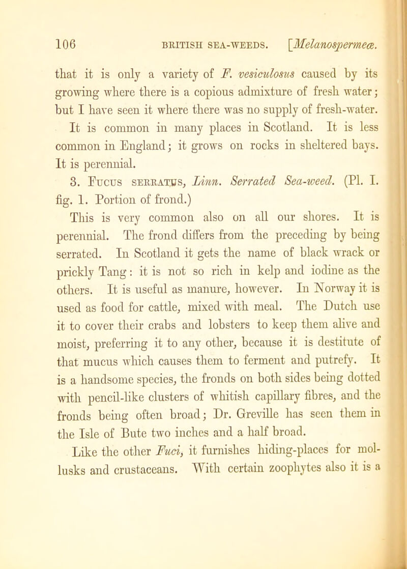 that it is only a variety of F. vesiculosus caused by its growing where there is a copious admixture of fresh water; but I have seen it where there was no supply of fresh-water. It is common in many places in Scotland. It is less common in England; it grows on rocks in sheltered bays. It is perennial. 3. Fucus seuratjjs, Linn. Serrated Sea-weed. (PL I. fig. 1. Portion of frond.) This is very common also on all our shores. It is perennial. The frond differs from the preceding by being serrated. In Scotland it gets the name of black wrack or prickly Tang: it is not so rich in kelp and iodine as the others. It is useful as manure, however. In Norway it is used as food for cattle, mixed with meal. The Dutch use it to cover their crabs and lobsters to keep them alive and moist, preferring it to any other, because it is destitute of that mucus which causes them to ferment and putrefy. It is a handsome species, the fronds on both sides being dotted with pencil-like clusters of whitish capillary fibres, and the fronds being often broad; Dr. Greville has seen them in the Isle of Bute two inches and a half broad. Like the other Fuci, it furnishes hiding-places for mol- lusks and crustaceans. With certain zoophytes also it is a