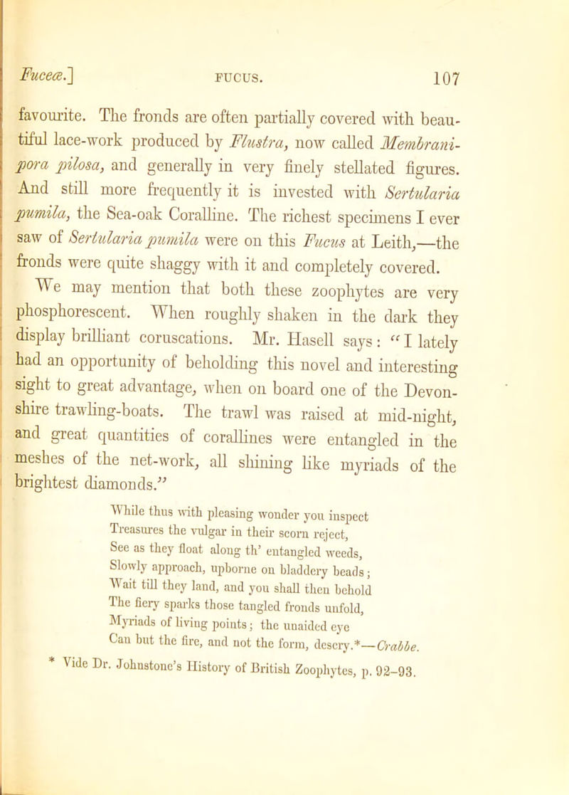 favoiu'ite. The fronds are often partially covered with beau- tiful lace-work produced by Flustra, now called Membrani- pora pilosa, and generally in very finely stellated figures. And still more frequently it is invested with Sertularia pumila, the Sea-oak Coralline. The richest specimens I ever saw of Sertularia pumila were on this Fucus at Leith,—the fronds were quite shaggy with it and completely covered. e may mention that both these zoophytes are very phosphorescent. When roughly shaken in the dark they display brilliant coruscations. Mr. Hasell says : “ I lately had an opportunity of beholding this novel and interesting sight to great advantage, when on board one of the Devon- shire trawling-boats. The trawl was raised at mid-night, and great quantities of corallines were entangled in the meshes of the net-work, all shining like myriads of the brightest diamonds.” While thus with pleasing wonder you inspect Tieasures the vulgar in their scorn reject, See as they float along th’ entangled weeds, Slowly approach, upborne on bladdery beads; AVait till they land, and you shall then behold The fiery sparks those tangled fronds unfold, Myriads of living points; the unaided eye Can hut the fire, and not the form, descry.*—Crabbe. * Vide Dr. Johnstone’s History of British Zoophytes, p. 92-93.