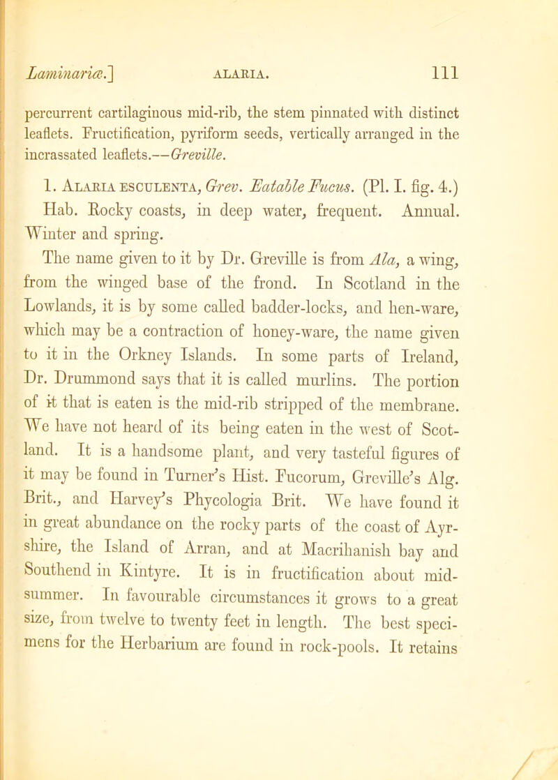 percurrent cartilaginous mid-rib, the stem pinnated with distinct leaflets. Fructification, pyriform seeds, vertically arranged in the incrassated leaflets.—Greville. 1. Alaria esculenta, Grev. Eatable Fucus. (PI. I. fig. 4.) Hab. Rocky coasts, in deep water, frequent. Annual. Winter and spring. The name given to it by Dr. Greville is from Ala, a wing, from the winged base of the frond. In Scotland in the Lowlands, it is by some called badder-locks, and hen-ware, which may be a contraction of honey-ware, the name given to it in the Orkney Islands. In some parts of Ireland, Dr. Drummond says that it is called murlins. The portion of it that is eaten is the mid-rib stripped of the membrane. We have not heard of its being eaten in the west of Scot- land. It is a handsome plant, and very tasteful figures of it may be found iu Turner’s Hist. Fucorum, Greville’s Alg. Brit., and Harvey’s Phycologia Brit. We have found it in great abundance on the rocky parts of the coast of Ayr- shire, the Island of Arran, and at Macrihanish bay and Southend in Kintyre. It is in fructification about mid- summer. In favourable circumstances it grows to a great size, from twelve to twenty feet iu length. The best speci- mens for the Herbarium are found in rock-pools. It retains