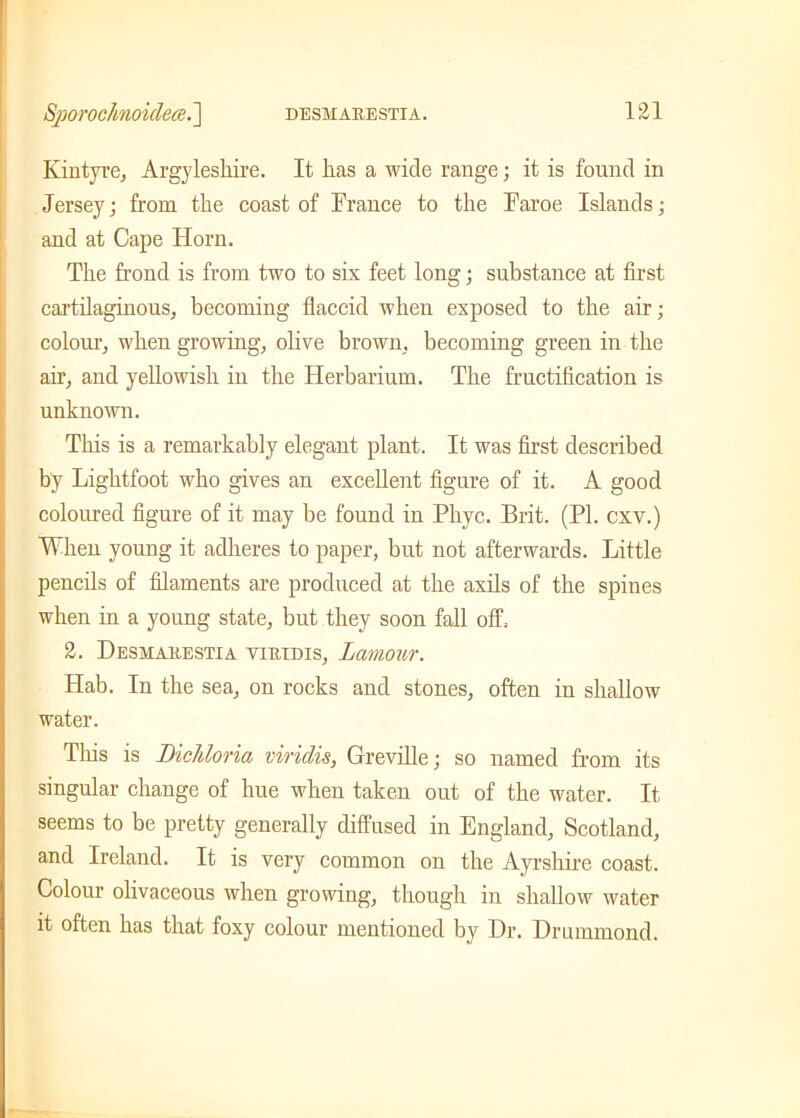 Kintyre, Argyleshire. It has a wide range; it is found in Jersey; from the coast of France to the Faroe Islands; and at Cape Horn. The frond is from two to six feet long; substance at first cartilaginous, becoming flaccid when exposed to the air; colour, when growing, olive brown, becoming green in the air, and yellowish in the Herbarium. The fructification is unknown. This is a remarkably elegant plant. It was first described by Lightfoot who gives an excellent figure of it. A good coloured figure of it may be found in Phyc. Brit. (PI. cxv.) When young it adheres to paper, but not afterwards. Little pencils of filaments are produced at the axils of the spines when in a young state, but they soon fall off.- 2. Desmakestia viiuius, Lamour. Hab. In the sea, on rocks and stones, often in shallow water. This is Dichloria viridis, Greville; so named from its singular change of hue when taken out of the water. It seems to be pretty generally diffused in England, Scotland, and Ireland. It is very common on the Ayrshire coast. Colour olivaceous when growing, though in shallow water it often has that foxy colour mentioned by Dr. Drummond.