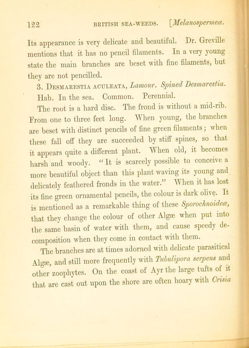 Its appearance is very delicate and beautiful. Dr. Greville mentions that it lias no pencil filaments. In a veiv young state tlie main brandies are beset with fine filaments, but they are not pencilled. 3. Desmarestia aculeata, Lamour. Sjoinecl Desmarestia. Hab. In the sea. Common. Perennial. The root is a hard disc. The frond is without a mid-rib. Prom one to three feet long. When young, the branches are beset with distinct pencils of fine green filaments 5 when these fall off they are succeeded by stiff spines, so that it appears quite a different plant. When old, it becomes harsh and woody. “It is scarcely possible to conceive a more beautiful object than this plant waving its young and delicately feathered fronds in the water.” When it has lost its fine green ornamental pencils, the colour is dark olive. It is mentioned as a remarkable thing of these SporocAnoidea, that they change the colour of other Algse when put into the same basin of water with them, and cause speedy de- composition when they come in contact with them. The branches are at times adorned with delicate parasitical Algae, and still more frequently with Tubulvpora serpens and other”zoophytes. On the coast of Ayr the large tufts of it that are cast out upon the shore are often hoary with Cnsia