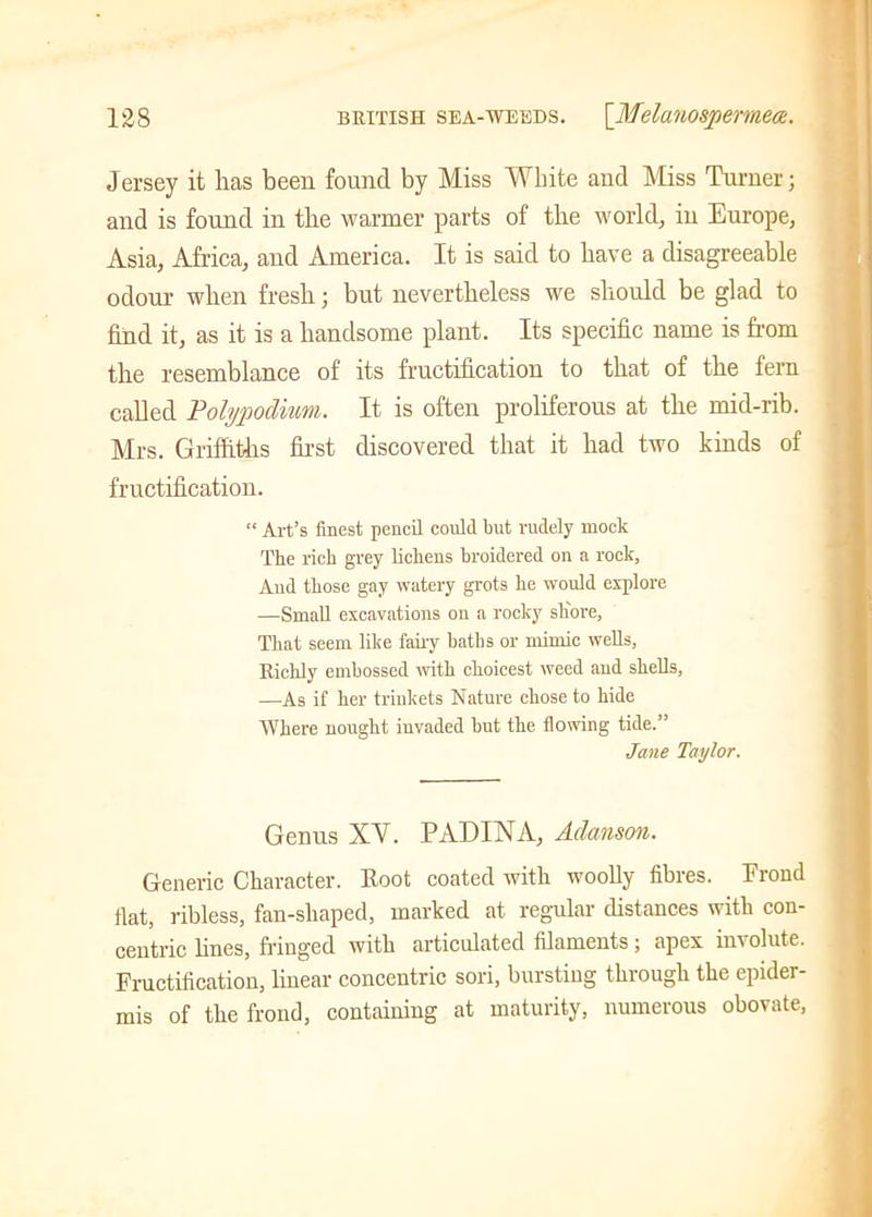 Jersey it has been found by Miss White and Miss Turner; and is found in the warmer parts of the world, in Europe, Asia, Africa, and America. It is said to have a disagreeable odour when fresh; but nevertheless we should be glad to find it, as it is a handsome plant. Its specific name is from the resemblance of its fructification to that of the fern called Poly podium. It is often proliferous at the mid-rib. Mrs. Griffiths first discovered that it had two kinds of fructification. “ Art’s finest pencil could but rudely mock The rich grey lichens broidered on a rock. And those gay watery grots he would explore —Small excavations on a rocky shore, That seem like fairy baths or mimic wells. Richly embossed with choicest weed and shells, —As if her trinkets Nature chose to hide Where nought invaded but the flowing tide.” Jane Taylor. Genus XV. PADINA, Adanson. Generic Character. Root coated with woolly fibres. Proud fiat, ribless, fan-shaped, marked at regular distances with con- centric lines, fringed with articulated filaments; apex involute. Fructification, linear concentric sori, bursting through the epider- mis of the frond, containing at maturity, numerous obovate,