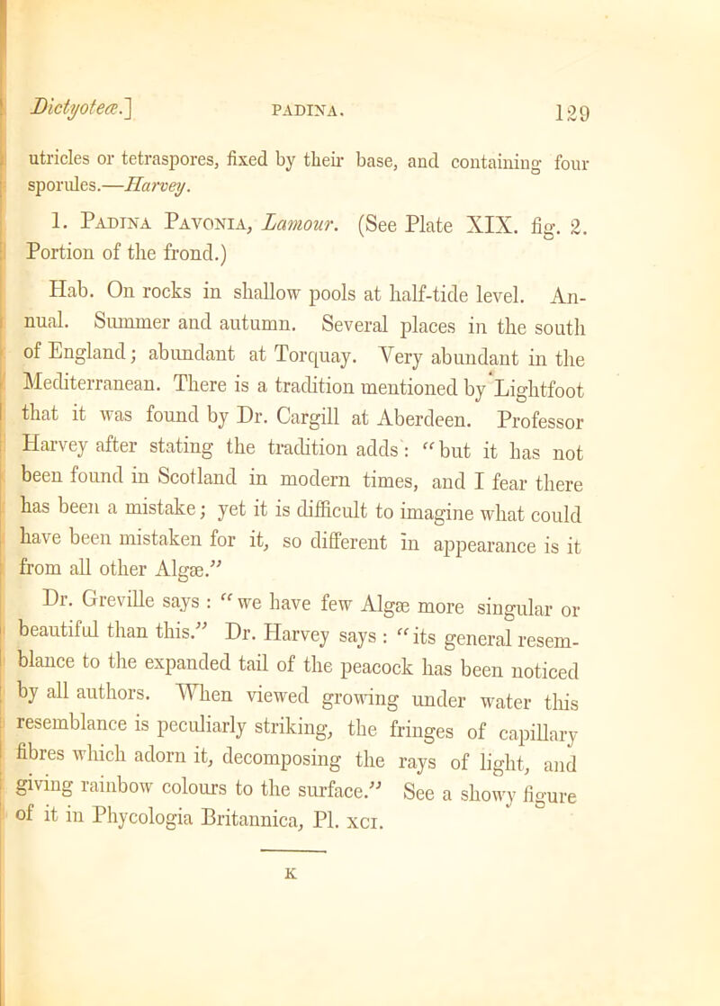 utricles or tetraspores, fixed by their base, and containing four sporules.—Harvey. 1. Padina Pavonia, Lamour. (See Plate XIX. fig. 2. Portion of the frond.) Hab. On rocks in shallow pools at half-tide level. An- nual. Summer and autumn. Several places in the south of England; abundant at Torquay. Very abundant in the Mediterranean. There is a tradition mentioned byLightfoot that it was found by Dr. Cargill at Aberdeen. Professor Harvey after stating the tradition adds: “but it has not been found in Scotland in modern times, and I fear there has been a mistake j yet it is difficult to imagine wdiat could have been mistaken for it, so different in appearance is it : from all other Algse.” Dr. Greville says : “ we have few Algae more singular or beautiful than this.” Dr. Harvey says : “ its general resem- 1 blance to the expanded tail of the peacock has been noticed • by all authors. When viewed growing under water this resemblance is peculiarly striking, the fringes of capillary fibres winch adorn it, decomposing the rays of light, and giving rainbow colours to the surface.” See a showy figure of it in Phycologia Britannica, PI. xci. K.