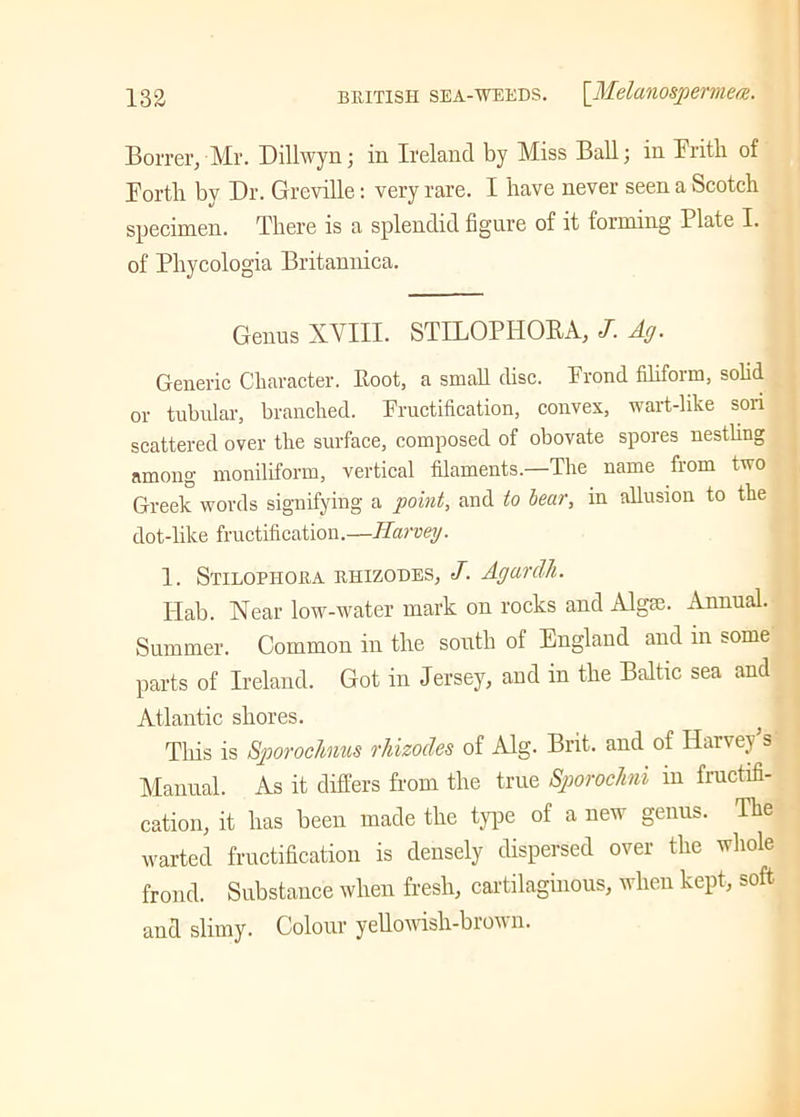 Borrer, Mr. Dillwyn; in Ireland by Miss Ball; in Frith of Forth by Dr. Greville: very rare. I have never seen a Scotch specimen. There is a splendid figure of it forming Plate I. of Phycologia Britannica. Genus XYIII. STILOPHORA, J. Ag. Generic Character. Root, a small disc. Frond filiform, solid or tubular, branched. Fructification, convex, wart-like sori scattered over the surface, composed of obovate spores nestling among moniliform, vertical filaments.—The name from two Greek words signifying a point, and to bear, in allusion to the dot-like fructification.—Harvey. 1. Stilophora rhizodes, J. Agardh. Hab. Near low-water mark on rocks and Algae. Annual. Summer. Common in the south of England and in some parts of Ireland. Got in Jersey, and in the Baltic sea and Atlantic shores. This is Sporochnus rhizodes of Alg. Brit, and of Harvey s Manual. As it differs from the true Sporochni iu fructifi- cation, it has been made the type of a new genus. The warted fructification is densely dispersed over the whole frond. Substance when fresh, cartilaginous, when kept, soft, and slimy. Colour yellowish-brown.