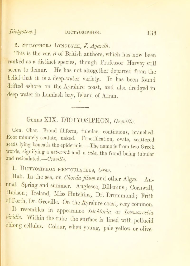 2. Stilophoea LYNGBYiEi, J. Agardh. This is the var. /3 of British authors, which has now been ranked as a distinct species, though Professor Harvey still seems to demur. He has not altogether departed from the belief that it is a deep-water variety. It has been found drifted ashore on the Ayrshire coast, and also dredged in deep water in Lamlasli bay. Island of Arran. Genus XIX. DICTYOSIPHON, Greville. Gen. Char. Frond filiform, tubular, continuous, branched. Root minutely scutate, naked. Fructification, ovate, scattered seeds lying beneath the epidermis.—The name is from two Greek words, signifying a net-work and a tube, the frond being tubular and reticulated.—Greville. 1. Dictyosipiion fceniculaceus, Grev. Hab. In the sea, on Chorda filum and other Alga:. An- nual. Spring and summer. Anglesea, Dillenius; Cornwall, Hudson; Ireland, Miss Hutchins, Dr. Drummond; Frith of Forth, Dr. Greville. On the Ayrshire coast, very common. .lt. rcscnil)les in appearance Dichloria or Desmarestia vindis. Within the tube the surface is lined with pellucid oblong cellules. Colour, when young, pale yellow or olive-