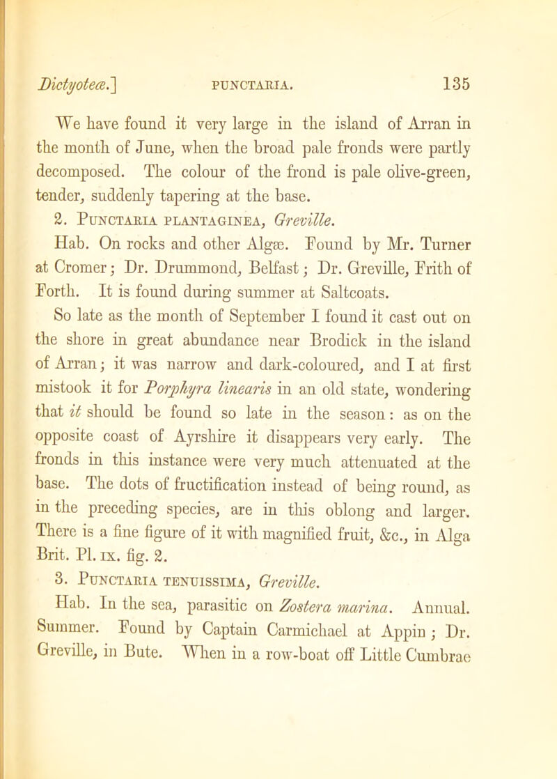 We have found it very large in the island of Arran in the month of June, when the broad pale fronds were partly decomposed. The colour of the frond is pale olive-green, tender, suddenly tapering at the base. 2. PuNCTAEIA PLANTAGINEA, Greville. Hab. On rocks and other Algse. Pound by Mr. Turner at Cromer; Dr. Drummond, Belfast; Dr. Greville, Frith of Forth. It is found during summer at Saltcoats. So late as the month of September I found it cast out on the shore in great abundance near Brodick in the island of Arran; it was narrow and dark-coloured, and I at first mistook it for Porphyra linearis in an old state, wondering that it should be found so late in the season: as on the opposite coast of Ayrshire it disappears very early. The fronds in this instance were very much attenuated at the base. The dots of fructification instead of being round, as in the preceding species, are in this oblong and larger. There is a fine figure of it with magnified fruit, &c., in Alga Brit. PL ix. fig. 2. 3. Punctaria TENUISSIMA, Greville. Hab. In the sea, parasitic on Zostera marina. Annual. Summer. Found by Captain Carmichael at Appin ; Dr. Greville, in Bute. When in a row-boat off Little Cumbrae