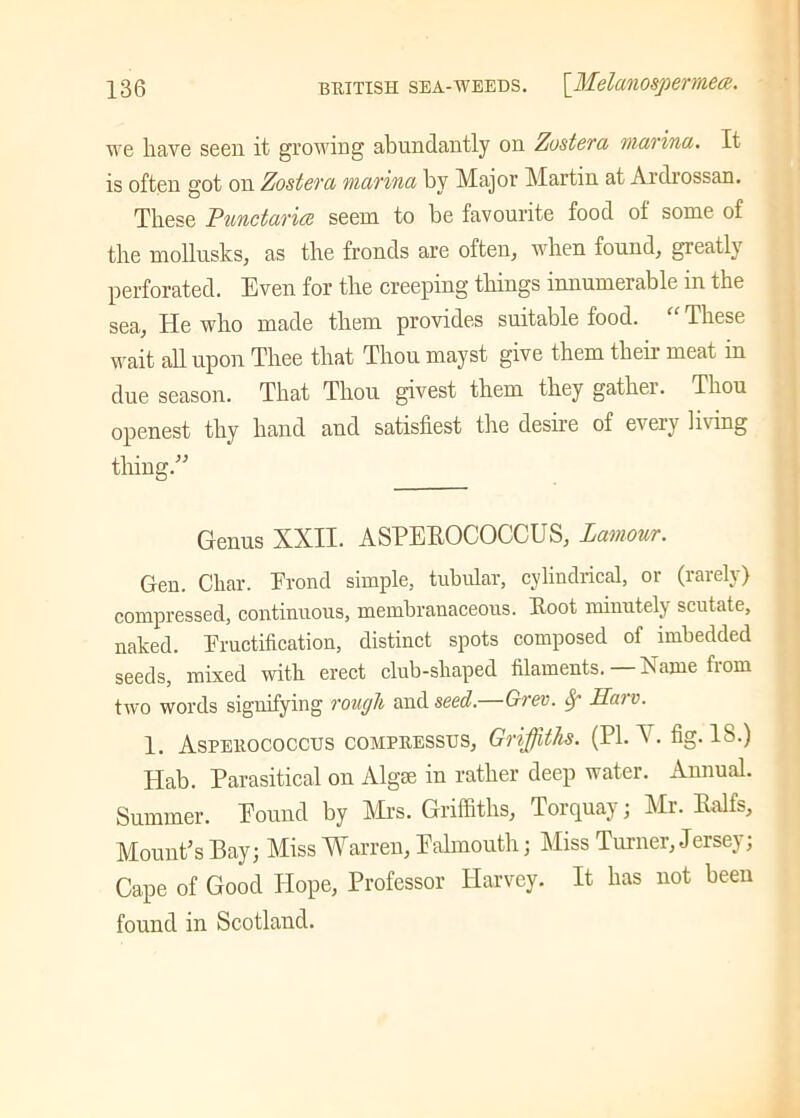 we have seen it growing abundantly on Zoster a marina. It is often got on Zostera marina by Major Martin at Ardrossan. These Punctarice seem to be favourite food of some of the mollusks, as the fronds are often, when found, greatly perforated. Even for the creeping things innumerable in the sea, He who made them provides suitable food. “ These wait all upon Thee that Thou mayst give them then- meat in due season. That Thou givest them they gather. Thou openest thy hand and satisfiest the desire of every living thing.” Genus XXII. ASPEROCOCCUS, Lamour. Gen. Char. Frond simple, tubular, cylindrical, or (rarely) compressed, continuous, membranaceous. Root minutely scutate, naked. Fructification, distinct spots composed of imbedded seeds, mixed with erect club-shaped filaments.—Name from two words signifying rough and seed.—Grev. §r Haro. 1. Asperococctjs compressus, Griffiths. (PI. A . fig. 18.) Hab. Parasitical on Algae in rather deep water. Annual. Summer. Pound by Mrs. Griffiths, Torquay; Mr. Ralfs, Mount’s Bay; Miss Warren, Ealmouth; Miss Turner, Jersey; Cape of Good Hope, Professor Harvey. It has not been found in Scotland.