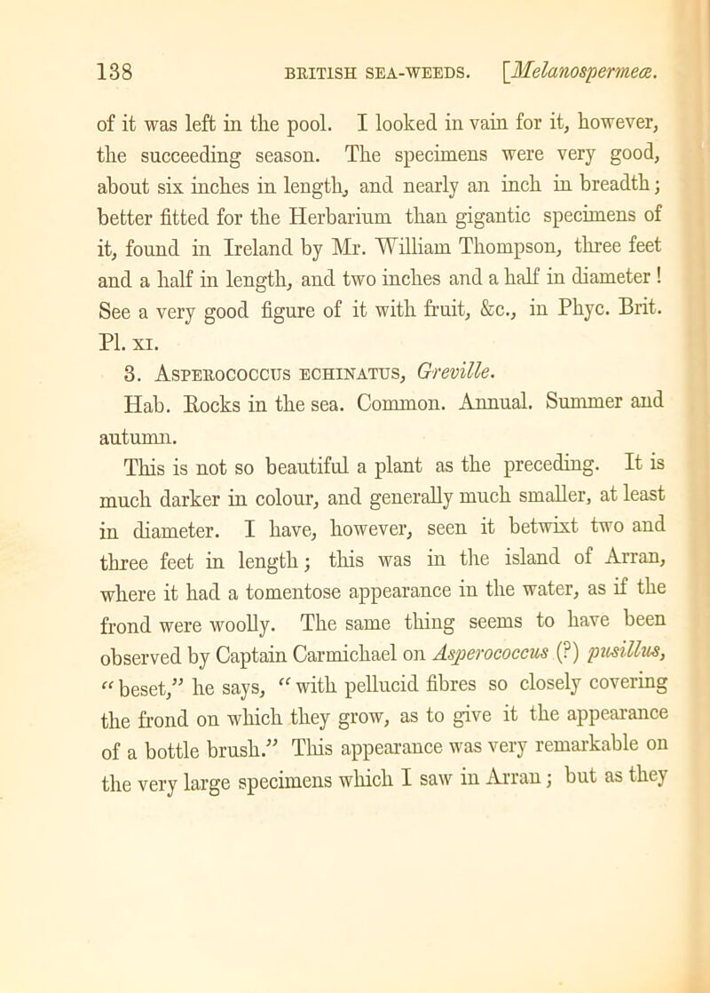 of it was left in tlie pool. I looked in vain for it, however, the succeeding season. The specimens were very good, about six inches in length, and nearly an inch in breadth; better fitted for the Herbarium than gigantic specimens of it, found in Ireland by Mr. A¥illiam Thompson, three feet and a half in length, and two inches and a half in diameter ! See a very good figure of it with fruit, &c., in Phyc. Brit. PL xi. 3. Asperococctjs echinatus, Greville. Hab. Bocks in the sea. Common. Annual. Summer and autumn. This is not so beautiful a plant as the preceding. It is much darker in colour, and generally much smaller, at least in diameter. I have, however, seen it betwixt two and three feet in length; this was in the island of Arran, where it had a tomentose appearance in the water, as if the frond were woolly. The same thing seems to have been observed by Captain Carmichael on Asperococcus (?) pusillus, “ beset,” he says, “ with pellucid fibres so closely covering the frond on which they grow, as to give it the appearance of a bottle brush.” This appearance was very remarkable on the very large specimens which I saw in Arran; but as tluj