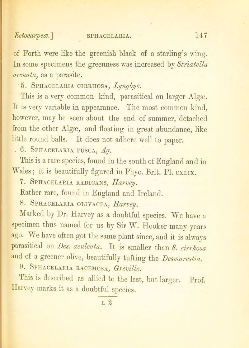 of Forth were like the greenish black of a starling’s wing. In some specimens the greenness was increased by Striatella arcuata, as a parasite. ' 5. Sphacelaria cirrhosa, lyngbye. This is a very common kind, parasitical on larger Algae. It is very variable in appearance. The most common kind, however, may be seen about the end of summer, detached from the other Algae, and floating in great abundance, like little round balls. It does not adhere well to paper. . 6. Sphacelaria pusca, Ag. This is a rare species, found in the south of England and in Wales; it is beautifully figured in Phyc. Brit. PI. cxlix. 7. Sphacelaria radicans, Harvey. Rather rare, found in England and Ireland. 8. Sphacelaria olivacea, Harvey. Marked by Dr. Harvey as a doubtful species. We have a specimen thus named for us by Sir W. Hooker many years ago. We have often got the same plant since, and it is always parasitical on JJes. aculeata. It is smaller than S. oirrhosa and of a greener olive, beautifully tufting the Desmarestia. 9. Sphacelaria racemosa, Greville. This is described as allied to the last, but larger. Prof. Harvey marks it as a doubtful species. l 2