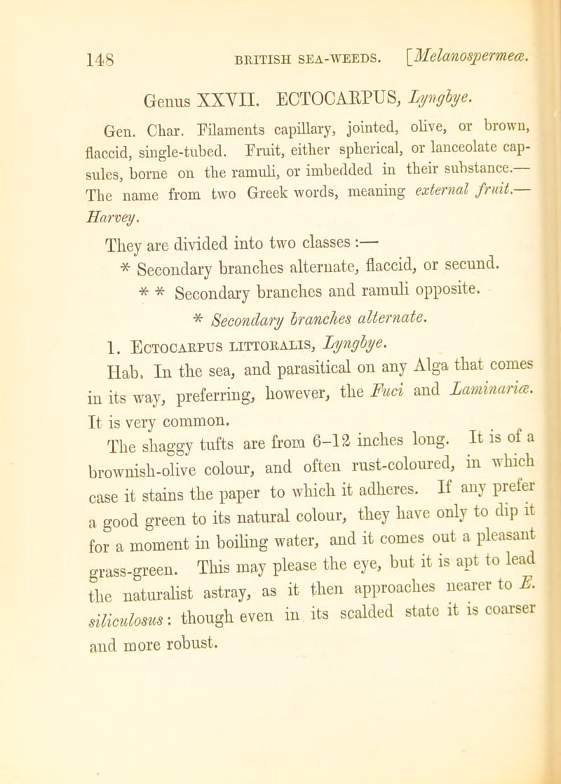 Genus XXVII. ECTOCAEPUS, Lyngbye. Gen. Char. Filaments capillary, jointed, olive, or brown, flaccid, single-tubed. Fruit, either spherical, or lanceolate cap- sides, borne on the ramuli, or imbedded in their substance. The name from two Greek words, meaning external fruit. Harvey. They are divided into two classes :— * Secondary branches alternate, flaccid, or secund. * * Secondary branches and ramuli opposite. * Secondary branches alternate. 1. Ectocarpus littoralis, Lyngbye. Iiab, In the sea, and parasitical on any Alga that comes in its way, preferring, however, the Fuel and Laminaria. It is very common. The shaggy tufts are from 6-12 inches long. It is of a brownish-olive colour, and often rust-coloured, in which case it stains the paper to which it adheres. If any prefer a good green to its natural colour, they have only to dip it for a moment in boiling water, and it comes out a pleasant grass-green. This may please the eye, but it is apt to lead the naturalist astray, as it then approaches nearer to E. siliculosus: though even in its scalded state it is coarser and more robust.