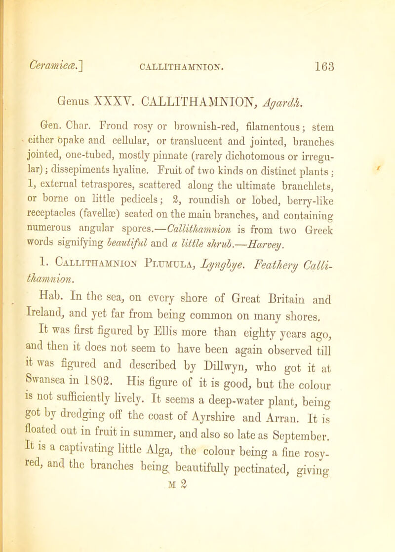 Genus XXXV. CALLITHAMNION, Agardh. Gen. Clinr. Frond rosy or brownish-red, filamentous; stem either opake and cellular, or translucent and jointed, branches jointed, one-tubed, mostly pinnate (rarely dichotomous or irregu- lar) ; dissepiments hyaline. Fruit of two kinds on distinct plants ; 1, external tetraspores, scattered along the ultimate branchlets, or borne on little pedicels; 2, roundish or lobed, berry-like receptacles (favelke) seated on the main branches, and containing numerous angular spores.—Callithamnion is from two Greek words signifying beautiful and a little shrub.—Harvey. 1. Callithamnion Pi/umula, lynglye. Feathery Catti- thamnion. Hab. In the sea, on every shore of Great Britain and Ireland, and yet far from being common on many shores. It was first figured by Ellis more than eighty years ago, and then it does not seem to have been again observed till it was figured and described by Dillwyn, who got it at Swansea in 1803. His figure of it is good, but the colour is not sufficiently lively. It seems a deep-water plant, being got by dredging off the coast of Ayrshire and Arran. It is floated out in fruit in summer, and also so late as September. It is a captivating little Alga, the colour being a fine rosy- red, and the branches being beautifully pectinated, giving m 3