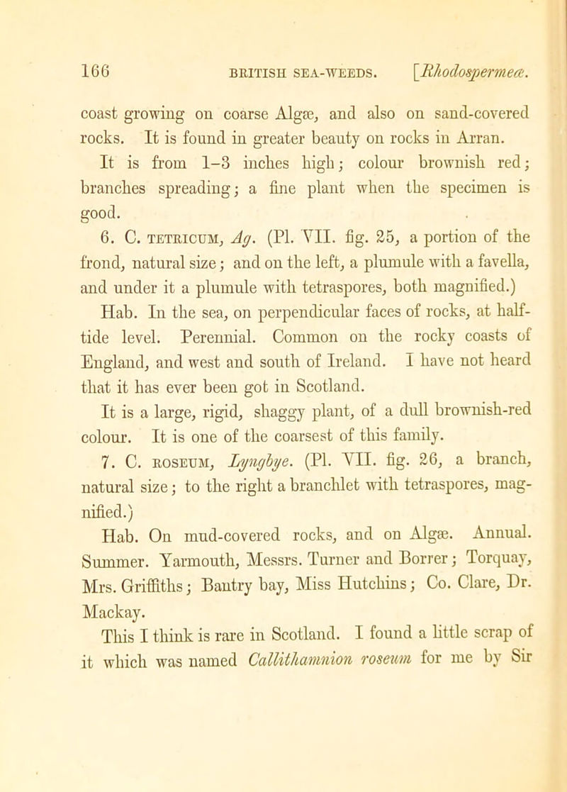 coast growing on coarse Algae, and also on sand-covered rocks. It is found in greater beauty on rocks in Arran. It is from 1-3 inches high; colour brownish red; branches spreading; a fine plant when the specimen is good. 6. C. tetricum, Ag. (PI. VII. fig. 25, a portion of the frond, natural size; and on the left, a plumule with a favella, and under it a plumule with tetraspores, both magnified.) Hab. In the sea, on perpendicular faces of rocks, at half- tide level. Perennial. Common on the rocky coasts of England, and west and south of Ireland. I have not heard that it has ever been got in Scotland. It is a large, rigid, shaggy plant, of a dull brownish-red colour. It is one of the coarsest of this family. 7. C. ROSEUM, Lyngbye. (PI. VII. fig. 26, a branch, natural size; to the right a branchlet with tetraspores, mag- nified.) Hab. On mud-covered rocks, and on Algae. Annual. Summer. Yarmouth, Messrs. Turner and Borrer; Torquay, Mrs. Griffiths; Bantry bay, Miss Hutchins; Co. Clare, Dr. Mackay. This I think is rare in Scotland. I found a little scrap of it which was named Cattithamnion roseum for me by Sir