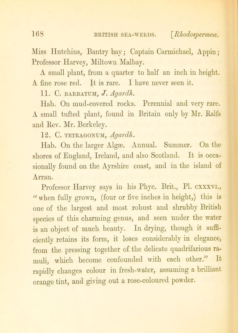 Miss Hutchins, Bantry bay; Captain Carmichael, Appin; Professor Harvey, Miltown Malbay. A small plant, from a quarter to half an inch in height. A fine rose reel. It is rare. I have never seen it. 11. C. BAiiBATUM, J. Agarclh. Hab. On mud-covered rocks. Perennial and very rare. A small tufted plant, found in Britain only by Mr. Ralfs and Rev. Mr. Berkeley. 12. C. tetragonum, Agardh. Hab. On the larger Algae. Annual. Summer. On the shores of England, Ireland, and also Scotland. It is occa- sionally found on the Ayrshire coast, and in the island of Arran. Professor Harvey says in Iris Phyc. Brit., PI. cxxxvi., “ when fully grown, (four or five inches in height,) this is one of the largest and most robust and shrubby British species of this charming genus, and seen under the water is an object of much beauty. In drying, though it suffi- ciently retains its form, it loses considerably in elegance, from the pressing together of the delicate quadrifarious ra- muli, which become confounded with each other.” It rapidly changes colour in fresh-water, assuming a brilliant orange tint, and giving out a rose-coloured powder.