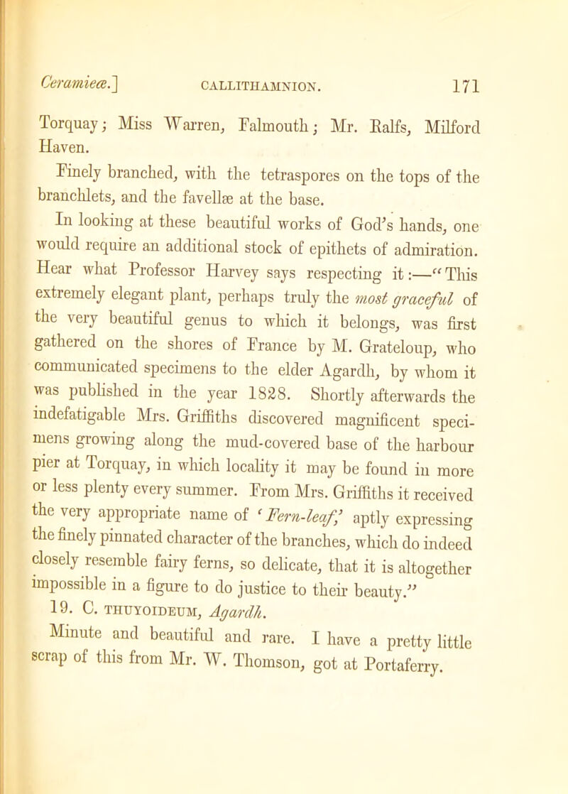 Torquay; Miss Warren, Falmouth; Mr. Ralfs, Milford Haven. Finely branched, with the tetraspores on the tops of the branchlets, and the favellse at the base. In looking at these beautiful works of God’s hands, one would require an additional stock of epithets of admiration. Hear what Professor Harvey says respecting it:—“ This extremely elegant plant, perhaps truly the most graceful of the very beautiful genus to which it belongs, was first gathered on the shores of France by M. Grateloup, who communicated specimens to the elder Agardh, by whom it was published in the year 1828. Shortly afterwards the indefatigable Mrs. Griffiths discovered magnificent speci- mens growing along the mud-covered base of the harbour prnr at Torquay, in which locality it may be found in more or less plenty every summer. From Mrs. Griffiths it received the very appropriate name of f Fern-leaf’ aptly expressing the finely pinnated character of the branches, which do indeed closely resemble fairy ferns, so delicate, that it is altogether impossible in a figure to do justice to their beauty.” 19. C. thuyoideum, Agardh. Minute and beautiful and rare. I have a pretty little scrap of this from Mr. W. Thomson, got at Portaferry.