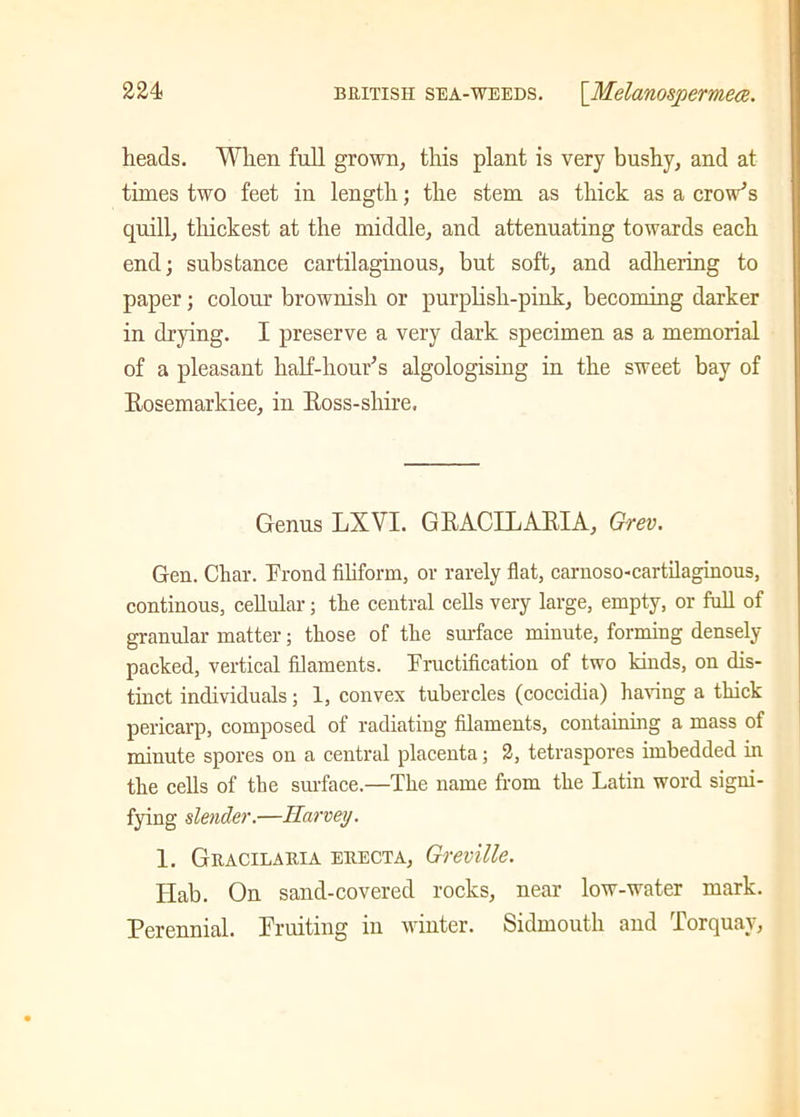 heads. When full grown, this plant is very bushy, and at times two feet in length; the stem as thick as a crow’s quill, thickest at the middle, and attenuating towards each end; substance cartilaginous, but soft, and adhering to paper; colour brownish or purplish-pink, becoming darker in drying. I preserve a very dark specimen as a memorial of a pleasant half-hour’s algologising in the sweet bay of Bosemarkiee, in Boss-shire. Genus LX VI. GBACILABIA, Grev. Gen. Char. Frond filiform, or rarely flat, carnoso-cartilaginous, continous, cellular; the central cells very large, empty, or full of granular matter; those of the surface minute, forming densely- packed, vertical filaments. Fructification of two kinds, on dis- tinct individuals; 1, convex tubercles (coccidia) having a thick pericarp, composed of radiating filaments, containing a mass of minute spores on a central placenta; 2, tetraspores imbedded in the cells of the surface.—The name from the Latin word signi- fying slender.—Harvey. 1. Gracilaria erecta, Greville. Hab. On sand-covered rocks, near low-water mark. Perennial. Fruiting in winter, bidmouth and Torquay,