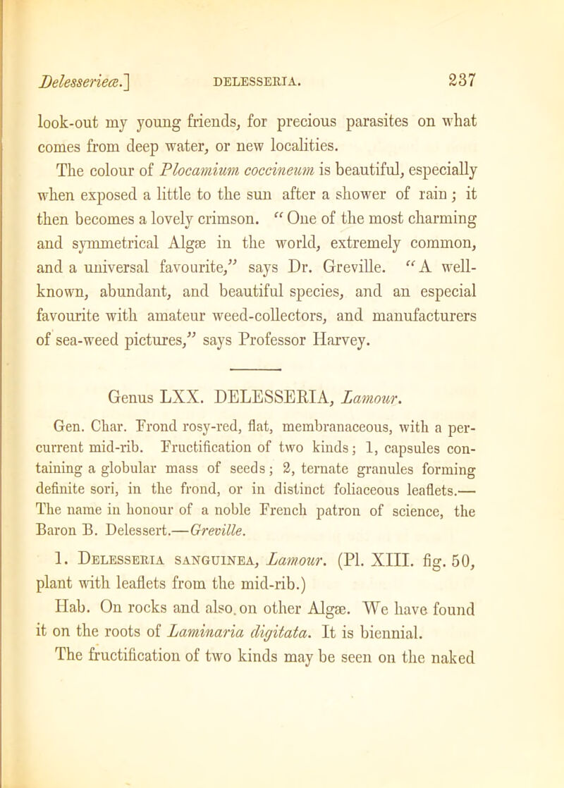 look-out my young friends, for precious parasites on what comes from deep water, or new localities. The colour of Plocamium coccineum is beautiful, especially when exposed a little to the sun after a shower of rain ; it then becomes a lovely crimson. “ One of the most charming and symmetrical Algae in the world, extremely common, and a universal favourite/'’ says Dr. Greville. “ A well- known, abundant, and beautiful species, and an especial favourite with amateur weed-collectors, and manufacturers of sea-weed pictures/’ says Professor Harvey. Genus LXX. DELESSERIA, Lamour. Gen. Cliar. Erond rosy-red, flat, membranaceous, with a per- current mid-rib. Pructification of two kinds; 1, capsules con- taining a globular mass of seeds; 2, ternate granules forming definite sori, in the frond, or in distinct foliaceous leaflets.— The name in honour of a noble French patron of science, the Baron B. Delessert.—Greville. 1. Delesseria sanguinea, Lamour. (PI. XIII. fig. 50, plant with leaflets from the mid-rib.) Hab. On rocks and also, on other Algae. We have found it on the roots of Laminaria cligitata. It is biennial. The fructification of two kinds may be seen on the naked
