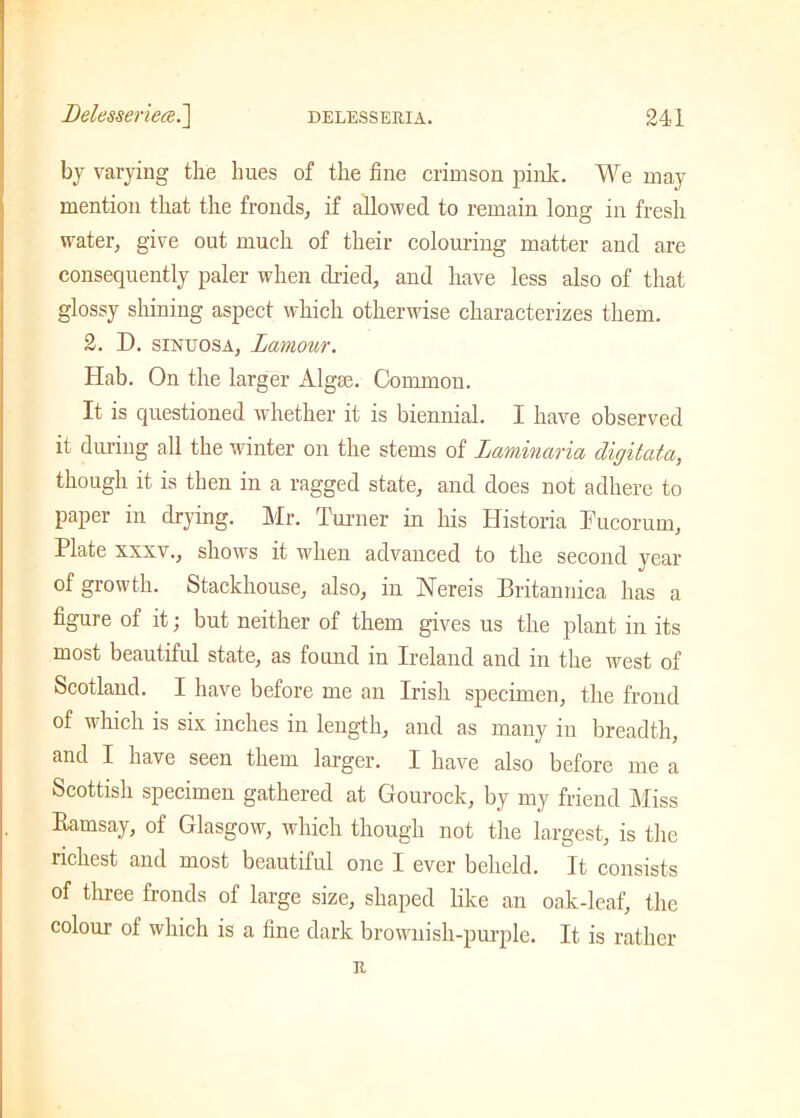 by varying the hues of the fine crimson pink. We may mention that the fronds, if allowed to remain long in fresh water, give out much of their colouring matter and are consequently paler when dried, and have less also of that glossy shining aspect which otherwise characterizes them. 2. D. sinuosa, lamour. Hab. On the larger Algse. Common. It is questioned whether it is biennial. I have observed it during all the winter on the stems of Laminaria digitata, though it is then in a ragged state, and does not adhere to paper in drying. Mr. Turner in his Historia Tucorum, Plate xxxv., shows it when advanced to the second year of growth. Stackhouse, also, in Nereis Britannica has a figure of it; but neither of them gives us the plant in its most beautiful state, as found in Ireland and in the west of Scotland. I have before me an Irish specimen, the frond of which is six inches in length, and as many in breadth, and I have seen them larger. I have also before me a Scottish specimen gathered at Gourock, by my friend Miss Ramsay, of Glasgow, which though not the largest, is the richest and most beautiful one I ever beheld. It consists of three fronds of large size, shaped like an oak-leaf, the colour of which is a fine dark brownish-purple. It is rather n
