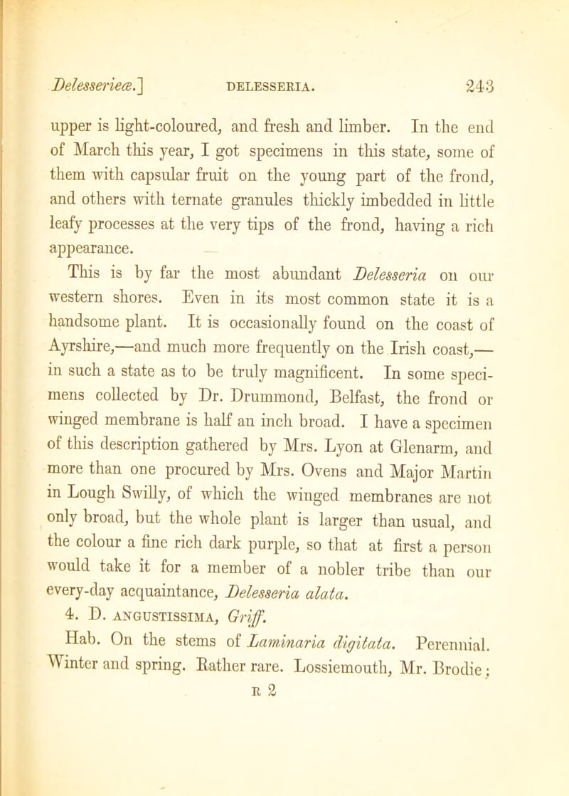 upper is light-coloured, and fresh and limber. In the end of March this year, I got specimens in this state, some of them with capsular fruit on the young part of the frond, and others with ternate granules thickly imbedded in little leafy processes at the very tips of the frond, having a rich appearance. This is by far the most abundant Delesseria on our western shores. Even in its most common state it is a handsome plant. It is occasionally found on the coast of Ayrshire,—and much more frequently on the Irish coast,— in such a state as to be truly magnificent. In some speci- mens collected by Dr. Drummond, Belfast, the frond or winged membrane is half an inch broad. I have a specimen of this description gathered by Mrs. Lyon at Glenarm, and more than one procured by Mrs. Ovens and Major Martin in Lough Swilly, of which the winged membranes are not only broad, but the whole plant is larger than usual, and the colour a fine rich dark purple, so that at first a person would take it for a member of a nobler tribe than our every-day acquaintance, Delesseria alata. 4. D. angustissima, Griff. Hab. On the stems of Laminaria digitata. Perennial. M inter and spring. Bather rare. Lossiemouth, Mr. Brodie; r 2