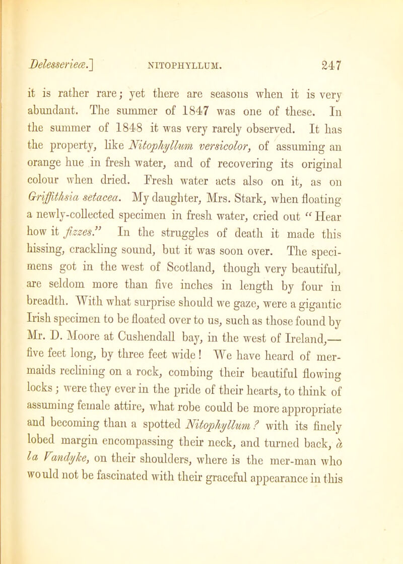 it is rather rare; jet there are seasons when it is very abundant. The summer of 1847 was one of these. In the summer of 1848 it was very rarely observed. It has the property, like Nitophyllum versicolor, of assuming an orange hue in fresh water, and of recovering its original colour when dried. Tresh water acts also on it, as on Grifiithsia setacea. My daughter, Mrs. Stark, when floating a newly-collected specimen in fresh water, cried out “ Hear how it fizzesIn the struggles of death it made this hissing, crackling sound, but it was soon over. The speci- mens got in the west of Scotland, though very beautiful, are seldom more than five inches in length by four in breadth. With what surprise should we gaze, were a gigantic Irish specimen to be floated over to us, such as those found by Mr. D. Moore at Cushendall bay, in the west of Ireland,— five feet long, by three feet wide ! We have heard of mer- maids reclining on a rock, combing their beautiful flowing locks ; were they ever in the pride of their hearts, to think of assuming female attire, what robe could be more appropriate and becoming than a spotted Nitophyllum ? with its finely lobed margin encompassing their neck, and turned back, a la l andylce, on their shoulders, where is the mer-man who would not be fascinated with their graceful appearance in this