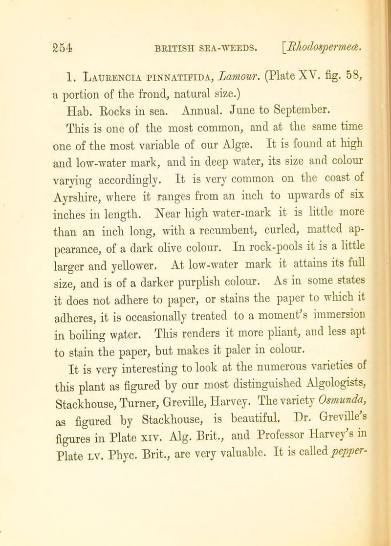 1. Latjrencia pinnatifida, Lamour. (Plate XV. fig. 58, a portion of tlie frond, natural size.) Hab. Rocks in sea. Annual. June to September. This is one of the most common, and at the same time one of the most variable of our Algse. It is found at high and low-water mark, and in deep water, its size and colour varying accordingly. It is very common on the coast of Ayrshire, where it ranges from an inch to upwards of six inches in length. Near high water-mark it is little more than an inch long, with a recumbent, curled, matted ap- pearance, of a dark olive colour. In rock-pools it is a little larger and yellower. At low-water mark it attains its full size, and is of a darker purplish colour. As in some states it does not adhere to paper, or stains the paper to which it adheres, it is occasionally treated to a moment's immersion in boiling wpter. This renders it more pliant, and less apt to stain the paper, but makes it paler in colour. It is very interesting to look at the numerous varieties of this plant as figured by our most distinguished Algologists, Stackhouse, Turner, Greville, Harvey. The variety Osmunda, as figured by Stackhouse, is beautiful. Dr. Greville's figures in Plate xiv. Alg. Brit., and Professor Harvey's in Plate lv. Phyc. Brit., are very valuable. It is called pepper-