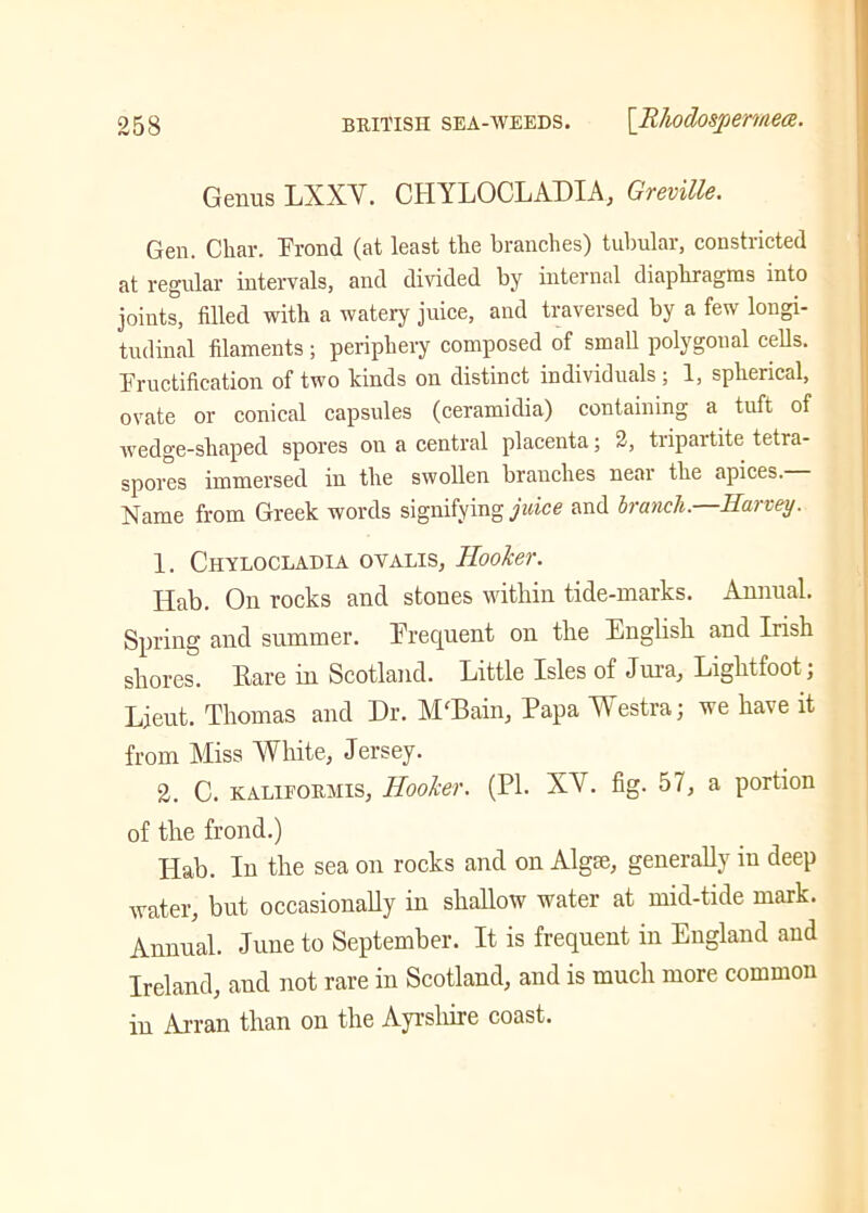 Genus LXXY. CIIYLOCLADIA, Greville. Gen. Char. Frond (at least the branches) tubular, constricted at regular intervals, and divided by internal diaphragms into joints, filled with a watery juice, and traversed by a few longi- tudinal filaments; periphery composed of small polygonal cells. Fructification of two kinds on distinct individuals; 1, spherical, ovate or conical capsules (ceramidia) containing a tuft of wedge-shaped spores on a central placenta; 2, tripartite tetra- spores immersed in the swollen branches neai the apices. Name from Greek words signifying juice and branch.—Harvey. 1. Chylocladia ovalis. Hooker. Hab. On rocks and stones within tide-marks. Annual. Spring and summer. Frequent on the English and Irish shores. Fare in Scotland. Little Isles of Jura, Liglitfoot; Lieut. Thomas and Dr. MtBain, Papa Westraj we have it from Miss White, Jersey. 2. C. KALiFORMis, Hooker. (Ph XV. fig. 57, a portion of the frond.) Hab. In the sea on rocks and on Algae, generally in deep water, but occasionally in shallow water at mid-tide mark. Annual. June to September. It is frequent in England and Ireland, and not rare in Scotland, and is much more common in Arran than on the Ayrshire coast.