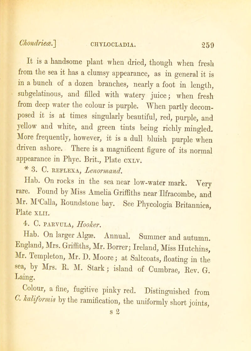 It is a handsome plant when dried, though when fresh from the sea it has a clumsy appearance, as in general it is in a bunch of a dozen branches, nearly a foot in length, subgelatinous, and filled with watery juice; when fresh from deep water the colour is purple. When partly decom- posed it is at times singularly beautiful, red, purple, and yellow and white, and green tints being richly mingled. More frequently, however, it is a dull bluish purple when driven ashore. There is a magnificent figure of its normal appearance in Phyc. Brit., Plate cxlv. * 3. C. reflexa, Lenormand. Hab. On rocks in the sea near low-water mark. Very rare. Pound by Miss Amelia Griffiths near Ilfracombe, and Mr. M Tall a, lioundstone bay. See Phycologia Britannica, Plate xlii. 4. C. parvula, Hooker. Hab. On larger Algae. Annual. Summer and autumn. England, Mrs. Griffiths, Mr. Borrer; Ireland, Miss Hutchins, Mr. Templeton, Mr. D. Moore; at Saltcoats, floating in the sea, by Mrs. It. M. Stark; island of Cumbrae, Bev. G. Laing. Colour, a fine, fugitive pinky red. Distinguished from C. kaliformis by the ramification, the uniformly short joints,