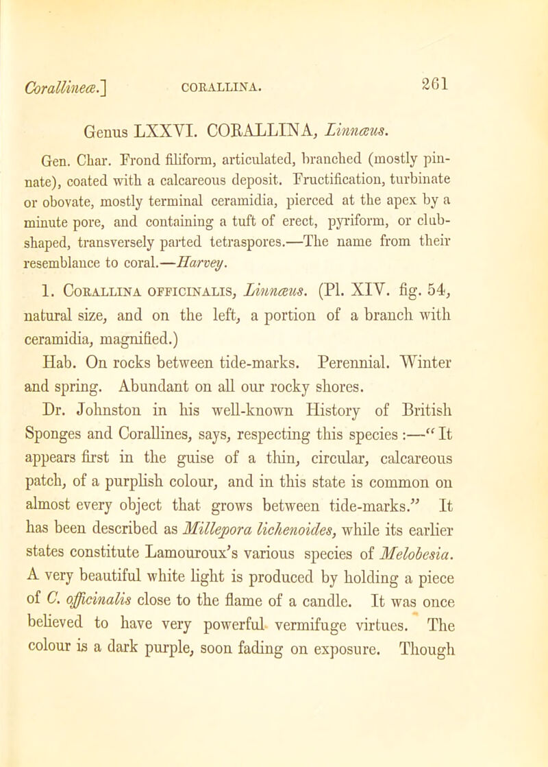 Genus LXXVI. CORALLINA, Linnceus. Gen. Char. Frond filiform, articulated, branched (mostly pin- nate), coated with a calcareous deposit. Fructification, turbinate or obovate, mostly terminal ceramidia, pierced at the apex by a minute pore, and containing a tuft of erect, pyriform, or club- shaped, transversely parted tetraspores.—The name from their resemblance to coral.—Harvey. 1. CoRALLINA OFFICINALIS, ImnCCUS. (PI. XIV. fig. 54), natural size, and on the left, a portion of a branch with ceramidia, magnified.) Hab. On rocks between tide-marks. Perennial. Winter and spring. Abundant on all our rocky shores. Dr. Johnston in his well-known History of British Sponges and Corallines, says, respecting this species :—“ It appears first in the guise of a thin, circular, calcareous patch, of a purplish colour, and in this state is common on almost every object that grows between tide-marks.” It has been described as Millejoora lichenoides, while its earlier states constitute Lamouroux’s various species of Melobesia. A very beautiful white light is produced by holding a piece of C. officinalis close to the flame of a candle. It was once believed to have very powerful vermifuge virtues. The colour is a dark purple, soon fading on exposure. Though