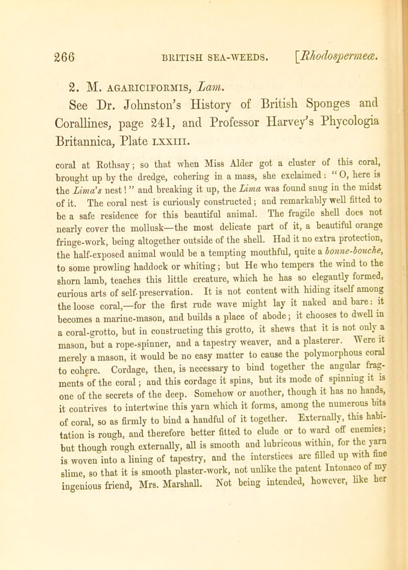 2. M. agauiciformis, Lam. See Dr. Johnston’s History of British Sponges and Corallines, page 241, and Professor Harvey’s Phycologia Britannica, Plate lxxiii. coral at Rothsay; so that when Miss Alder got a cluster of this coral, brought up hy the dredge, cohering in a mass, she exclaimed : “ 0, here is the Lima’s nest! ” and breaking it up, the Lima was found snug in the midst of it. The coral nest is curiously constructed; and remarkably well fitted to be a safe residence for this beautiful animal. The fragile shell does not nearly cover the mollusk—the most delicate part of it, a beautiful orange fringe-work, being altogether outside of the shell. Had it no extra protection, the half-exposed animal would he a tempting mouthful, quite a bonne-bouche, to some prowling haddock or whiting; but He who tempers the wind to the shorn lamb, teaches this little creature, which he has so elegantly formed, curious arts of self-preservation. It is not content with hiding itself among the loose coral,—for the first rude wave might lay it naked and hare: it becomes a marine-mason, and builds a place of abode; it chooses to dw ell in a coral-grotto, hut in constructing this grotto, it shews that it is not only a mason, but a rope-spinner, and a tapestry weaver, and a plasterer. Were it merely a mason, it would he no easy matter to cause the polymorphous coral to cohere. Cordage, then, is necessary to hind together the angular frag- ments'of the coral; and this cordage it spins, but its mode of spinning it is one of the secrets of the deep. Somehow or auother, though it has no hands, it contrives to intertwine this yarn which it forms, among the numerous hits of coral, so as firmly to hind a handful of it together. Externally, this habi- tation is rough, and therefore better fitted to elude or to ward off enemies; but though rough externally, all is smooth and lubricous within, for the yarn is woven into a lining of tapestry, and the interstices are filled up with fine slime, so that it is smooth plaster-work, not unlike the patent Intonaco of my ingenious friend, Mrs. Marshall. Not being intended, however, like her