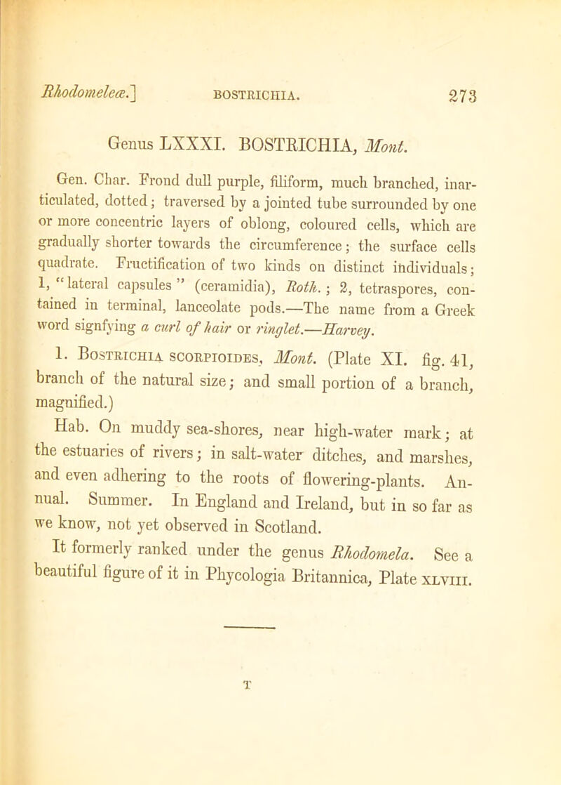 Genus LXXXI. BOSTKICHIA, Mont. Gen. Char. Frond dull purple, filiform, much branched, inar- ticulated, dotted; traversed by a jointed tube surrounded by one 01 more concentric layers of oblong, coloured cells, which are gradually shorter towards the circumference; the surface cells quadrate. Fructification of two kinds on distinct individuals; 1, lateral capsules ’ (ceramidia), Iloth. ; 2, tetraspores, con- tained in terminal, lanceolate pods.—The name from a Greek word signfving a curl of hair or ringlet.—Harvey. 1. Bostrichia scorpioides, Mont. (Plate XI. fis\ 41 . ' O y branch of the natural size; and small portion of a branch, magnified.) Hab. On muddy sea-shores, near high-water mark; at the estuaries of rivers; in salt-water ditches, and marshes, and even adhering to the roots of flowering-plants. An- nual. Summer. In England and Ireland, but in so far as we know, not yet observed in Scotland. It formerly ranked under the genus Rhodomela. See a beautiful figure of it in Phycologia Britannica, Plate xlviii. t