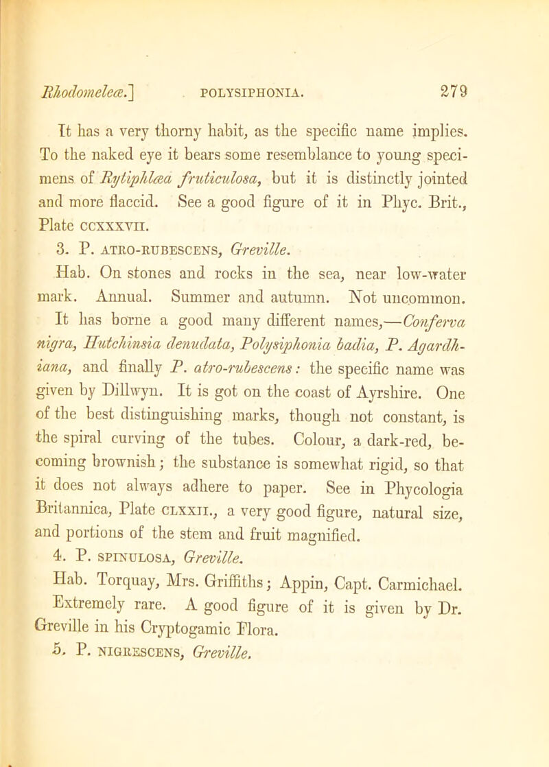 It has a very thorny habit, as the specific name implies. To the naked eye it bears some resemblance to young speci- mens of Rytiphlaa fruticulosa, but it is distinctly jointed and more flaccid. See a good figure of it in Pliyc. Brit., Plate ccxxxvii. 3. P. atro-rubescens, Greville. Hab. On stones and rocks in the sea, near low-water mark. Annual. Summer and autumn. Not uncommon. It has borne a good many different names,—Conferva nigra, Hutchinsia denudata, Polysiphonia iadia, P. AgardJi- iana, and finally P. atro-rubescens: the specific name was given by Dillwyn. It is got on the coast of Ayrshire. One of the best distinguishing marks, though not constant, is the spiral curving of the tubes. Colour, a dark-red, be- coming brownish; the substance is somewhat rigid, so that it does not always adhere to paper. See in Phycologia Britannica, Plate clxxii., a very good figure, natural size, and portions of the stem and fruit magnified. 4. P. spinulosa, Greville. Hab. Torquay, Mrs. Griffiths; Appin, Capt. Carmichael. Extremely rare. A good figure of it is given by Dr. Greville in his Cryptogamic Blora. 5. P. nigrescens, Greville.