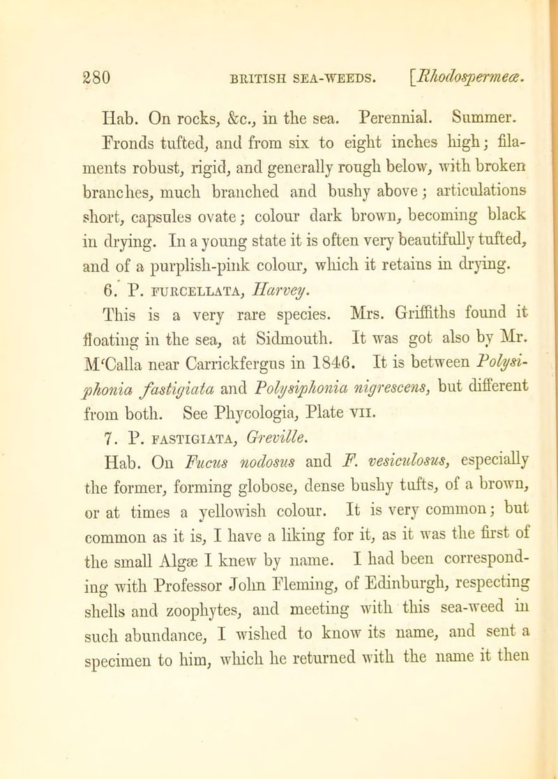 Ilab. On rocks, &c., in the sea. Perennial. Summer. Pronds tufted, and from six to eight inches high; fila- ments robust, rigid, and generally rough below, with broken branches, much branched and bushy above; articulations short, capsules ovate; colour dark brown, becoming black in drying. In a young state it is often very beautifully tufted, and of a purplish-pink colour, which it retains in drying. 6. P. furcellata, Harvey. This is a very rare species. Mrs. Griffiths found it floating in the sea, at Sidmouth. It was got also by Mr. M'Calla near Carrickfergns in 1846. It is between Polysi- phonia fastigiata and Polysiphonia nigrescens, but different from both. See Phycologia, Plate vii. 7. P. fastigiata, Greville. Hab. On Fucus nodosus and F. vesiculosus, especially the former, forming globose, dense bushy tufts, of a brown, or at times a yellowish colour. It is very common; but common as it is, I have a liking for it, as it was the first ot the small Algm I knew by name. I had been correspond- ing with Professor John Pleming, of Edinburgh, respecting shells and zoophytes, and meeting with this sea-weed in such abundance, I wished to know its name, and sent a specimen to him, which he returned with the name it then