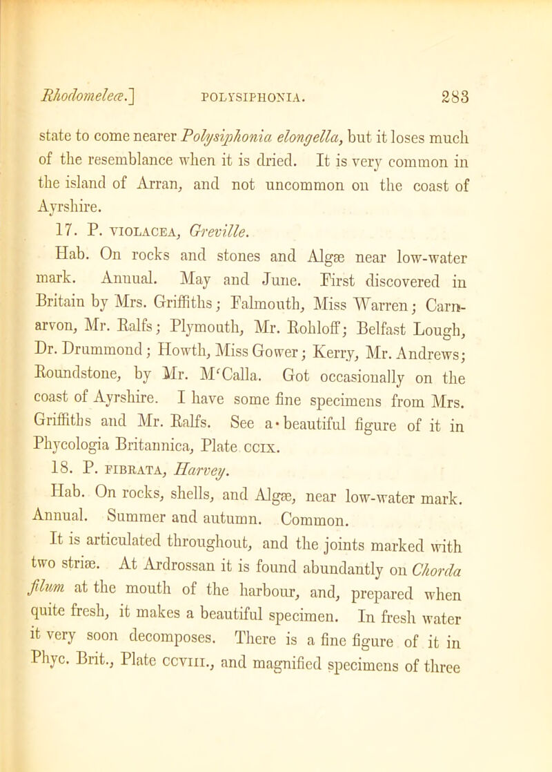 state to come nearer Polysiphonia elongella, but it loses much of the resemblance when it is dried. It is very common in the island of Arran, and not uncommon on the coast of Ayrshire. 17. P. violacea, Greville. Hab. On rocks and stones and Algae near low-water mark. Annual. May and June. Pirst discovered iu Britain by Mrs. Griffiths; Falmouth, Miss Warren; Carn- arvon, Mr. Ralfs; Plymouth, Mr. Rohloff; Belfast Lou eh, Dr. Drummond; Howth, Miss Gower; Kerry, Mr. Andrews; Roundstone, by Mr. MfCalla. Got occasionally on the coast of Ayrshire. I have some fine specimens from Mrs. Griffiths and Mr. Ralfs. See a'beautiful figure of it in Phycologia Britannica, Plate ccix. 18. P. pibrata, Harvey. Hab. On rocks, shells, and Algae, near low-water mark. Annual. Summer and autumn. Common. It is articulated throughout, and the joints marked with two striae. At Ardrossan it is found abundantly on Chorda jilum at the mouth of the harbour, and, prepared when quite fresh, it makes a beautiful specimen. In fresh water it very soon decomposes. There is a fine figure of it in Phyc. Biit., Plate covin., and magnified specimens of three