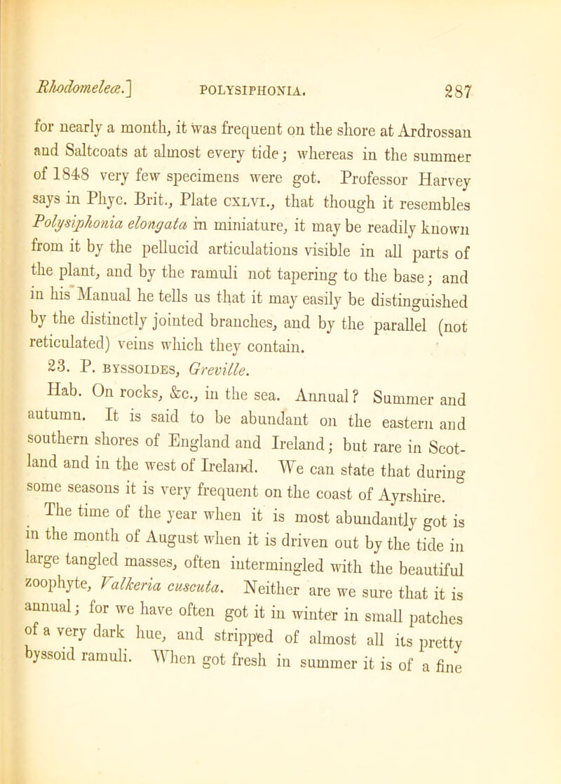 for nearly a month, it was frequent on the shore at Ardrossan and Saltcoats at almost every tide; whereas in the summer of 1848 very few specimens were got. Professor Iiarvey says in Pliyc. Brit., Plate cxlvi., that though it resembles Polysiphonia elongatu in miniature, it may be readily known from it by the pellucid articulations visible in all parts of the plant, and by the ramuli not tapering to the base; and in his Manual he tells us that it may easily be distinguished by the distinctly jointed branches, and by the parallel (not reticulated) veins which they contain. 23. P. byssoides, Grevitle. Hab. On rocks, &c., in the sea. Annual ? Summer and autumn. It is said to be abundant on the eastern and southern shores of England and Ireland; but rare in Scot- land and in the west of Ireland. We can state that during some seasons it is very frequent on the coast of Ayrshire. The time of the year when it is most abundantly got is in the month of August when it is driven out by the tide in large tangled masses, often intermingled with the beautiful zoophyte, Valkeria cmcuta. Neither are we sure that it is annual; for we have often got it in winter in small patches of a very dark hue, and stripped of almost all its pretty byssoid ramuli. When got fresh in summer it is of a fine