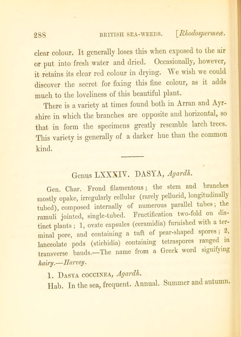 clear colour. It generally loses this when exposed to the air or put into fresh water and dried. Occasionally, however, it retains its clear red colour in drying. II e wish we could discover the secret for fixing this fine colour, as it adds much to the loveliness of this beautiful plant. There is a variety at times found both in An an and Ayr- shire in which the branches are opposite and horizontal, so that in form the specimens greatly resemble larch trees. This variety is generally of a darker hue than the common kind. Genus LXXXTV. DASYA, Agardh. Gen. Char. Frond filamentous; the stem and branches mostly opake, irregularly cellular (rarely pellucid, longitudinally tubed), composed internally of numerous parallel tubes; the ramuli jointed, single-tubed. Fructification two-fold on dis- tinct plants ; 1, ovate capsules (ceramidia) furnished with a ter- minal pore, and containing a tuft of pear-shaped spores ; 2, lanceolate pods (stichidia) containing tetraspores ranged in transverse bands.—The name from a Greek word signifying hairy.—Harvey. 1. Dasya coccinea, Agardli. Hab. In the sea, frequent. Annual. Summer and autumn.