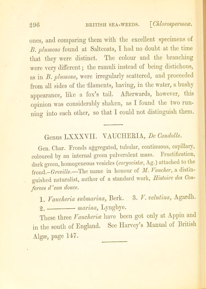ones., and comparing them with the excellent specimens of B. plumosa found at Saltcoats, I had no doubt at the time that they were distinct. The colour and the branching were very different; the ramuli instead of being distichous, as in B. plumosa, were irregularly scattered, and proceeded from all sides of the filaments, having, in the water, a bushy appearance, like a fox’s tail. Afterwards, however, this opinion was considerably shaken, as I found the two run- ning into each other, so that I could not distinguish them. Genus LXXXYIL YAUCHEItIA, Be Candolle. Gen. Char. Fronds aggregated, tabular, continuous, capillary, coloured by an internal green pulverulent mass. Fructification, dark green, homogeneous vesicles (coryocistce, Ag.) attached to the frond-Greville.—The name in honour of M. Voucher, a distin- guished naturalist, author of a standard work, Histoire des Con- ferees cl ’eau douce. 1. Vaucheria submarina, Berk. 3. V. velutina, Agardh. 2. marina, Lyngbye. These three Vaucheria have been got only at Appin and in the south of England. See Harvey’s Manual of British Algm, page 147.