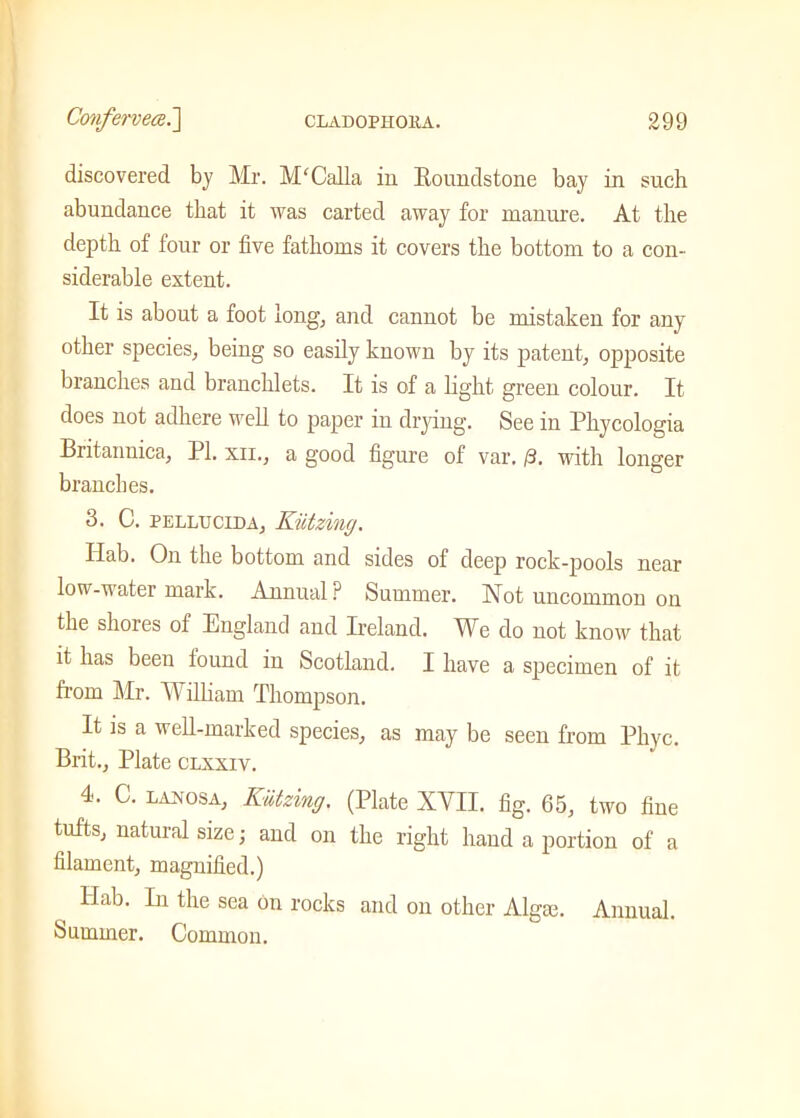 discovered by Mr. M'Calla in Boundstone bay in such abundance that it was carted away for manure. At the depth of four or five fathoms it covers the bottom to a con- siderable extent. It is about a foot long, and cannot be mistaken for any other species, being so easily known by its patent, opposite branches and branchlets. It is of a light green colour. It does not adhere well to paper in drying. See in Phycologia Britannica, PI. xii., a good figure of var. /3. with longer brandies. 3. C. pellucida, Kutzing. Ilab. On the bottom and sides of deep rock-pools near low-water mark. Annual? Summer. Not uncommon on the shores of England and Ireland. We do not know that it has been iound in Scotland. I have a specimen of it from Mr. William Thompson. It is a well-marked species, as may be seen from Phyc. Brit., Plate clxxiv. 4. C. lax os a, Kutzing. (Plate XVII. fig. 65, two fine tufts, natural size; and on the right hand a portion of a filament, magnified.) Ilab. In the sea on rocks and on other Algae. Annual. Summer. Common.