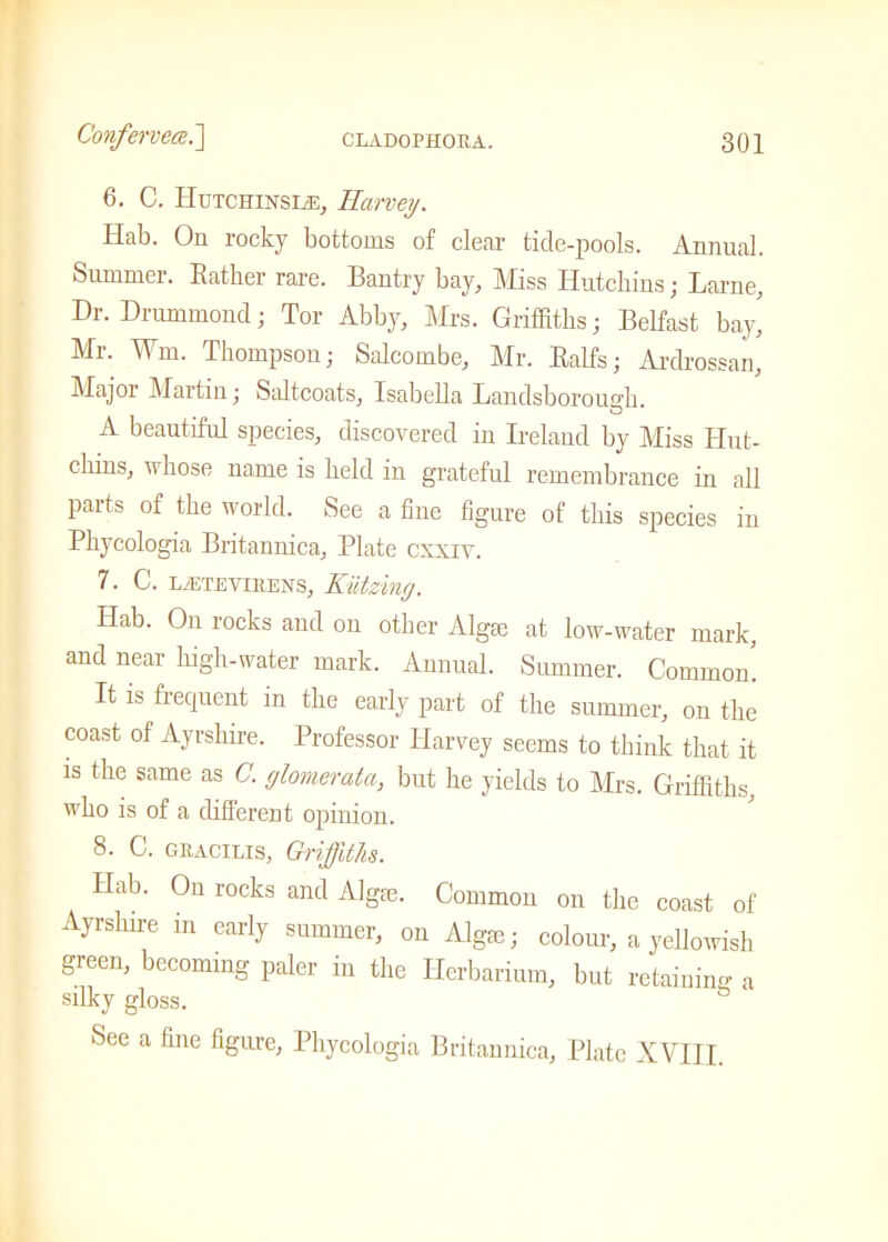 6. C. Hutchinsle, Harvey. Hab. On rocky bottoms of clear tide-pools. Annual. Summer. Rather rare. Bantry bay. Miss Hutchins; Larne, Dr. Drummond; Tor Abby, Mrs. Griffiths; Belfast bay, Air. Wm. Thompson; Salcombe, Mr. Ralfs; Ardrossan, Major Martin; Saltcoats, IsabeUa Landsboroush. o A beautiful species, discovered in Ireland by Miss Hut- chins, whose name is held in grateful remembrance in all parts of the world. See a fine figure of this species in Phycologia Britannica, Plate cxxiy. 7. C. iaetevirens, Kiitzing. Hab. On rocks and on other Alga: at low-water mark, and near high-water mark. Annual. Summer. Common. It is fiecpient in the early part of the summer, on the coast of Ayrshire. Professor Harvey seems to think that it is the same as C. glomemta, but he yields to Airs. Griffiths, who is of a different opinion. 8. C. gracilis, Griffiths. Hab. On rocks and Alga:. Common on the coast of Ayrshire in early summer, on Alga:; colour, a yellowish green, becoming paler in the Herbarium, but retaining a silky gloss. s See a fine figure, Phycologia Britannica, Plate XVIII.