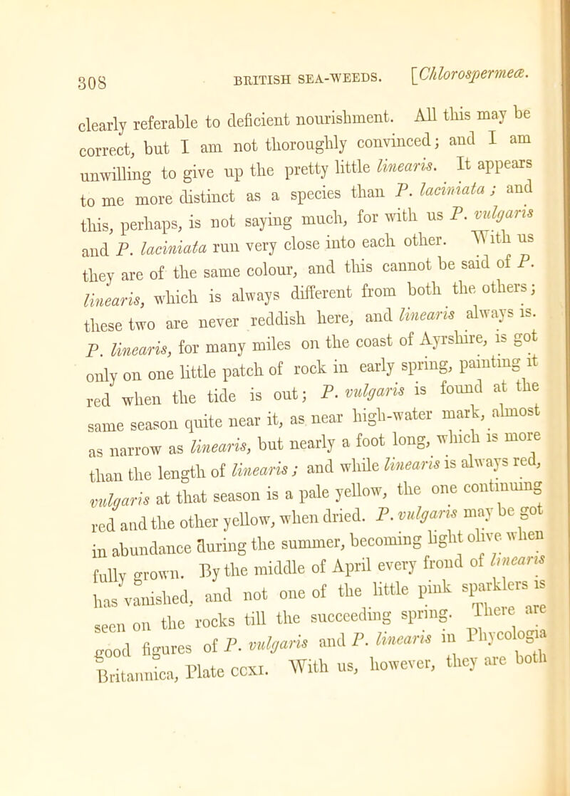 clearly referable to deficient nourishment. All this may be correct, but I am not thoroughly convinced; and I am unwilling to give up the pretty little linearis. It appears to me more distinct as a species than P. lacimata; and this, perhaps, is not saying much, for with ns P. vulgaris and P. lacimata run very close into each other. Vht 1 us they are of the same colour, and this cannot be said of P. linearis, which is always different from both the others; these two are never reddish here, and linearis always is. P. linearis, for many miles on the coast of Ayrshire, is got only on one little patch of rock in early spring, painting it red when the tide is out; P. vulgaris is found at the same season quite near it, as near high-water mark, almost as narrow as linearis, but nearly a foot long, which is moie than the length of linearis ; and while linearis is always red, vulgaris at that season is a pale yellow, the one continuing red and the other yellow, when dried. P. vulgaris may be got in abundance during the summer, becoming light olive when fully grown. By the middle of April every frond of linearis ijvaniM and not one of the little pink *£»» seen on the rocks till the succeeding spring. Tlieie mod figures of P. mlgam and P. Uneam in 1 hvcolog.. Britannica, Hate COB. With us, however, they are bo